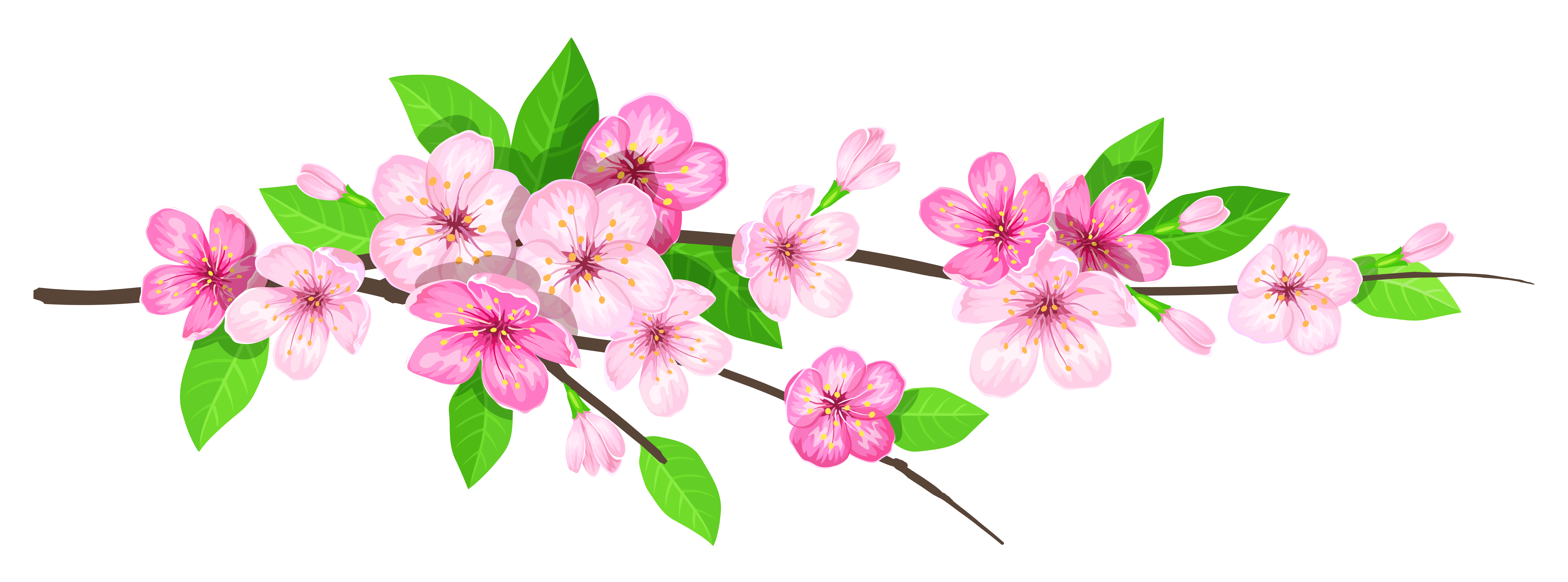 Pink Spring Branch PNG Image | Gallery Yopriceville - High ...
