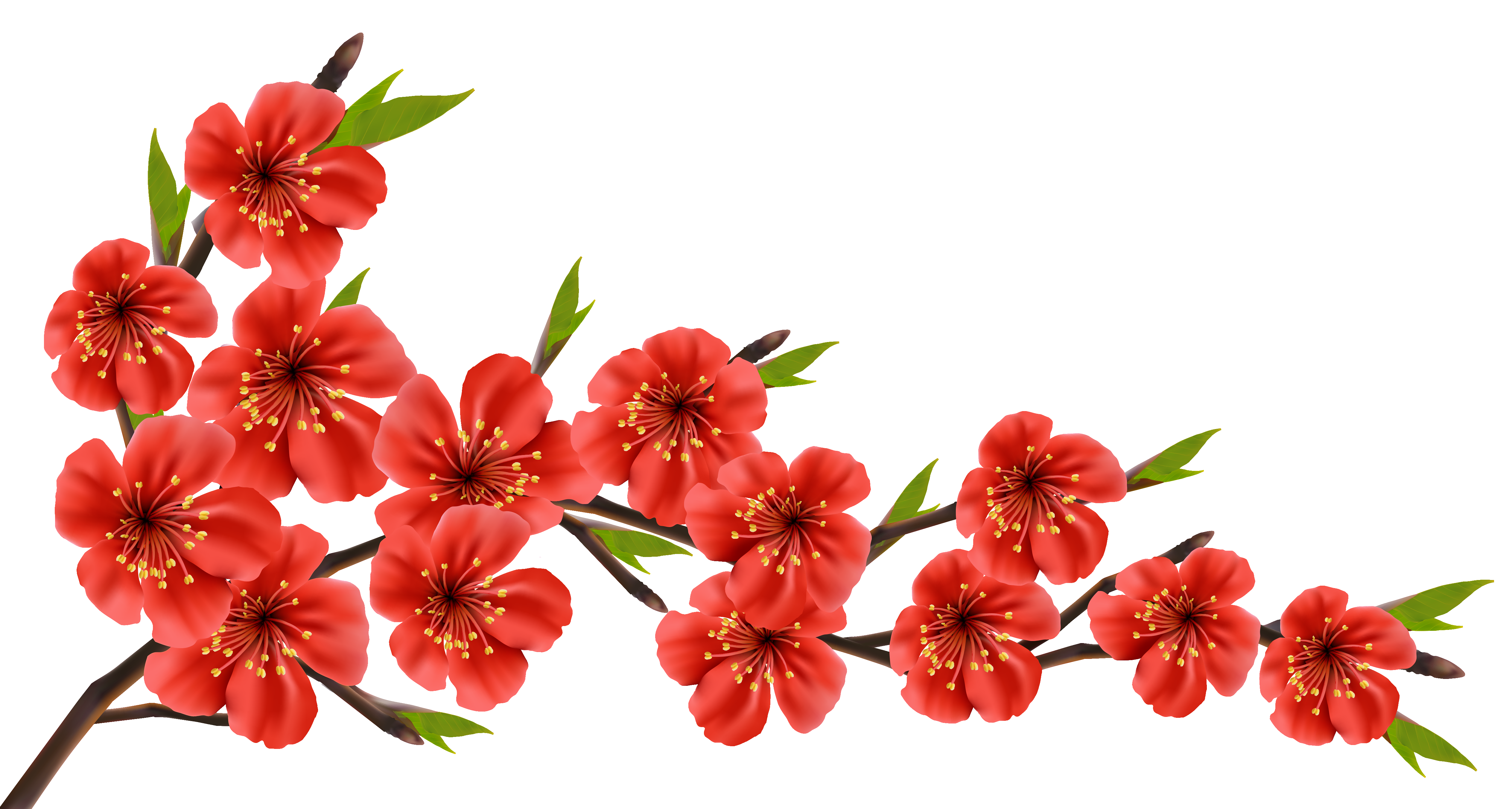 Red Flower PNG Clipart Image​  Gallery Yopriceville - High-Quality Free  Images and Transparent PNG Clipart