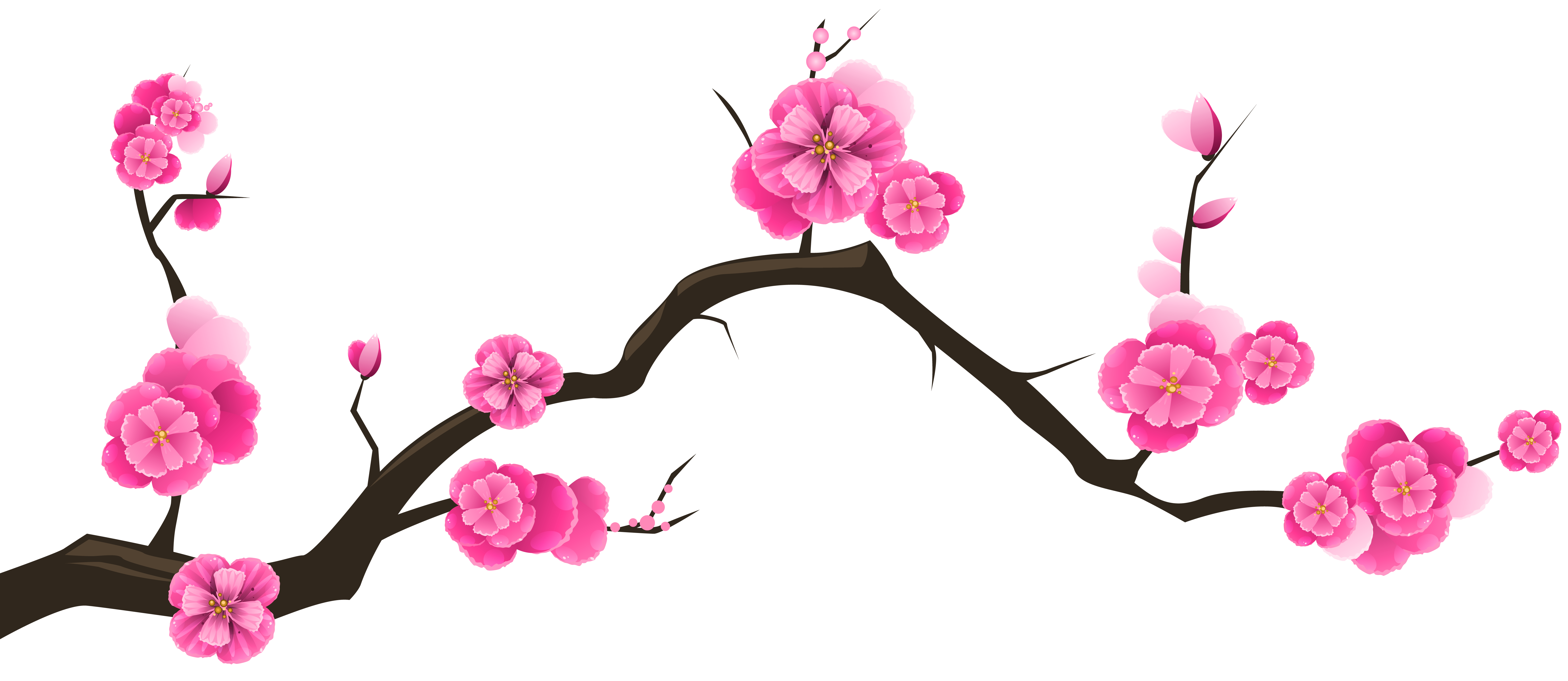 Sakura Branch Transparent Clip Art Image Gallery Yopriceville High Quality Images And Transparent Png Free Clipart