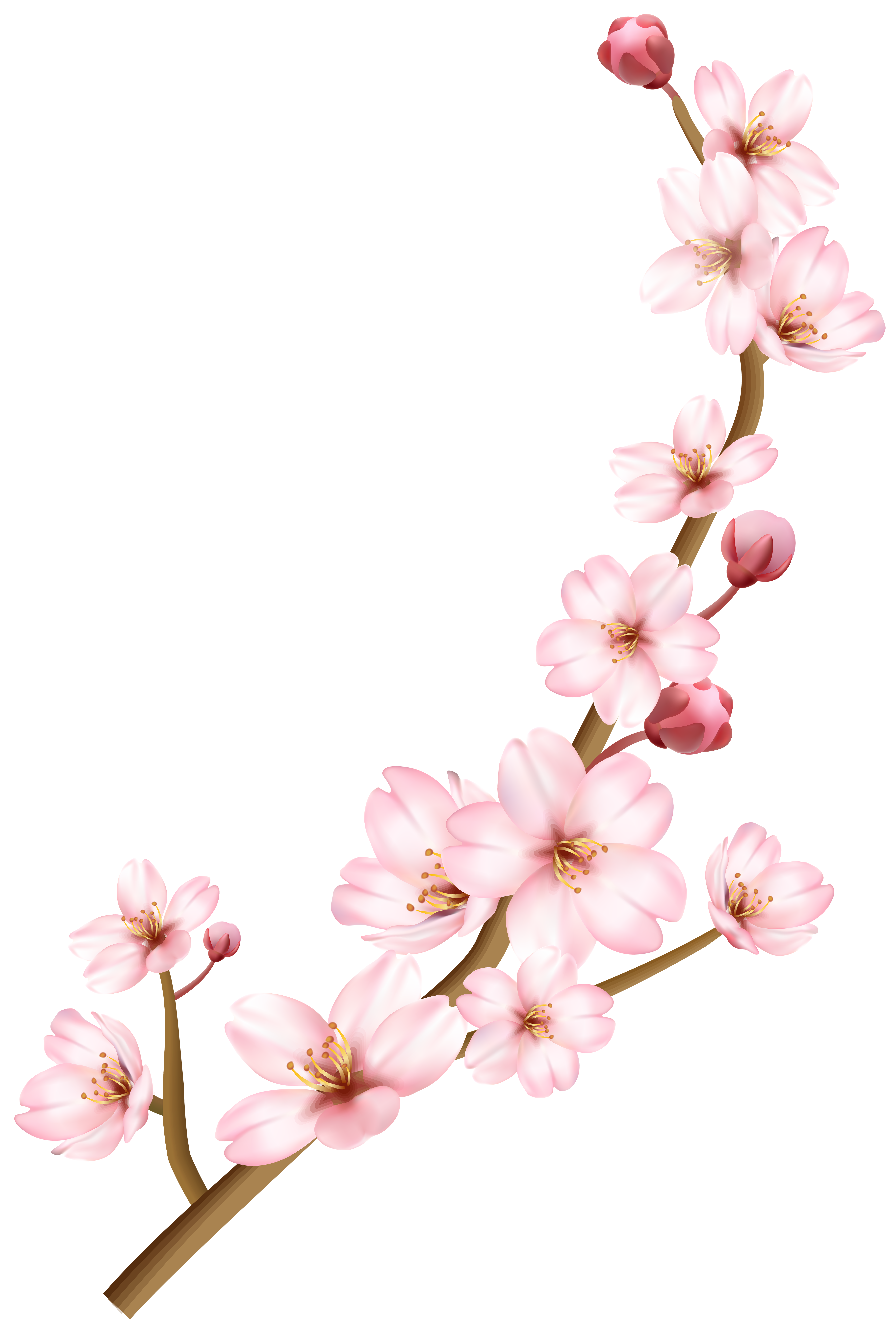 Spring Branch Transparent PNG Clip Art Image | Gallery Yopriceville