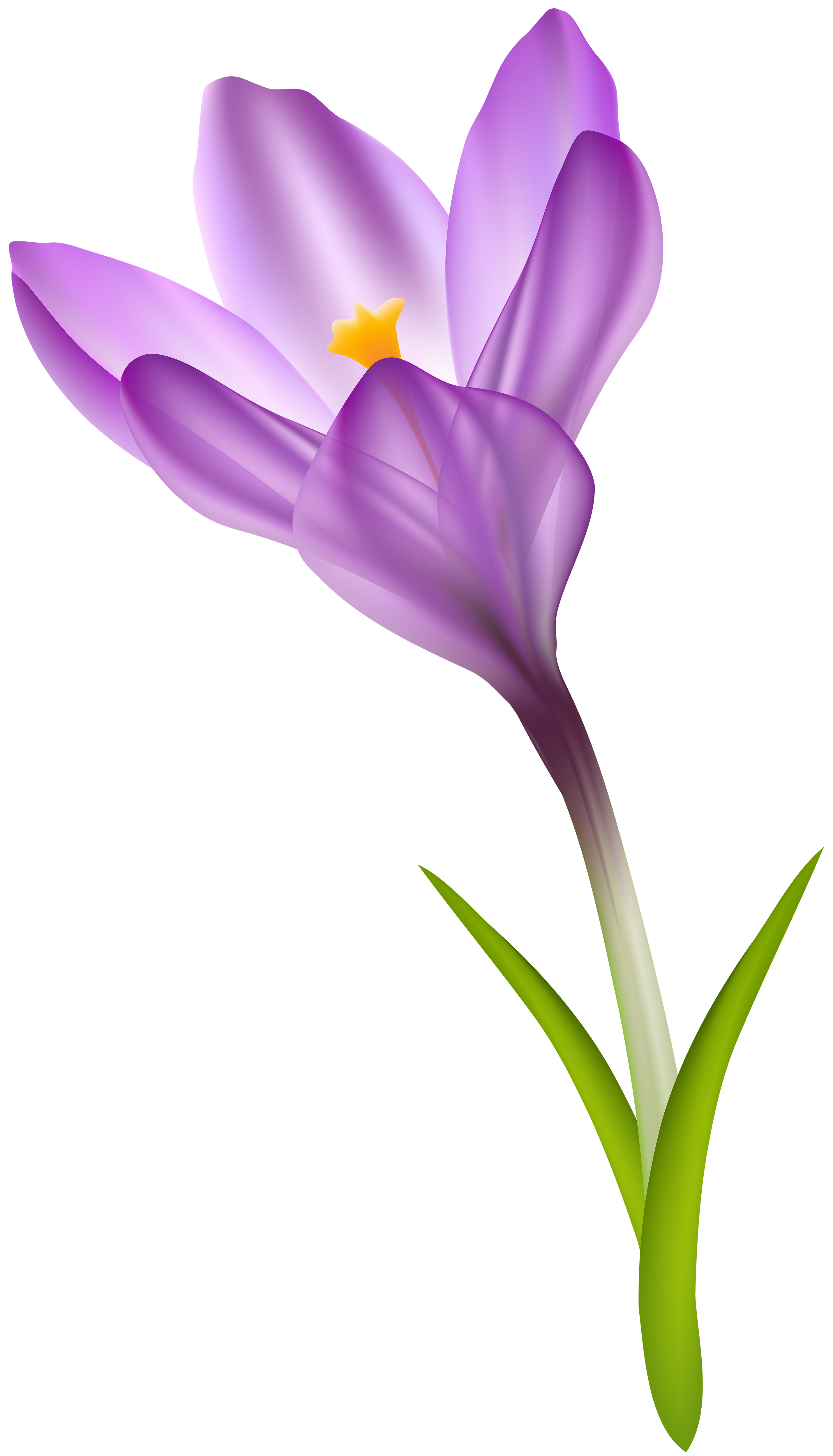 Spring Crocus Transparent Png Clip Art Image Gallery Yopriceville High Quality Images And Transparent Png Free Clipart