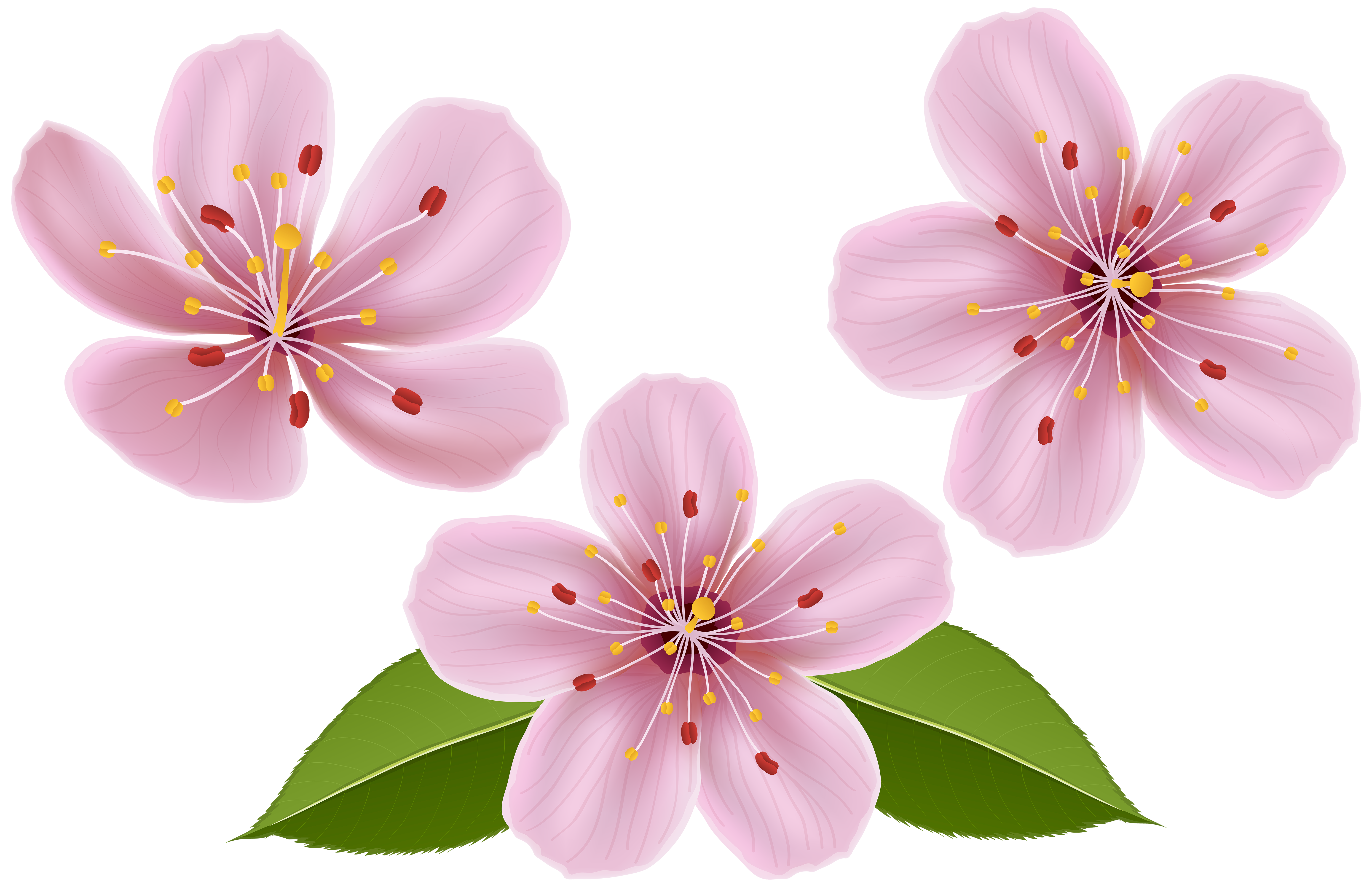 spring flowers clipart