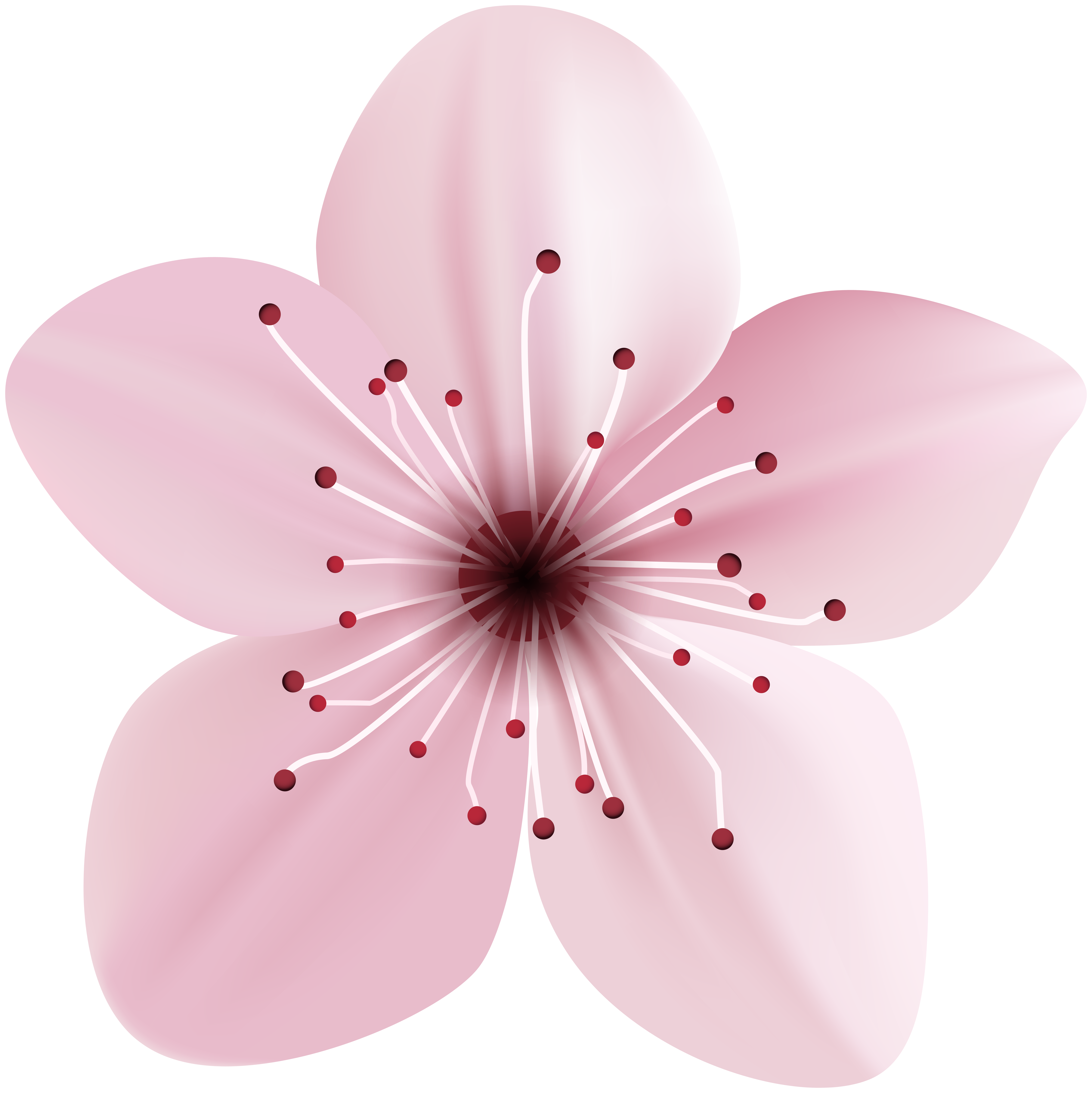 pink spring flower clip art