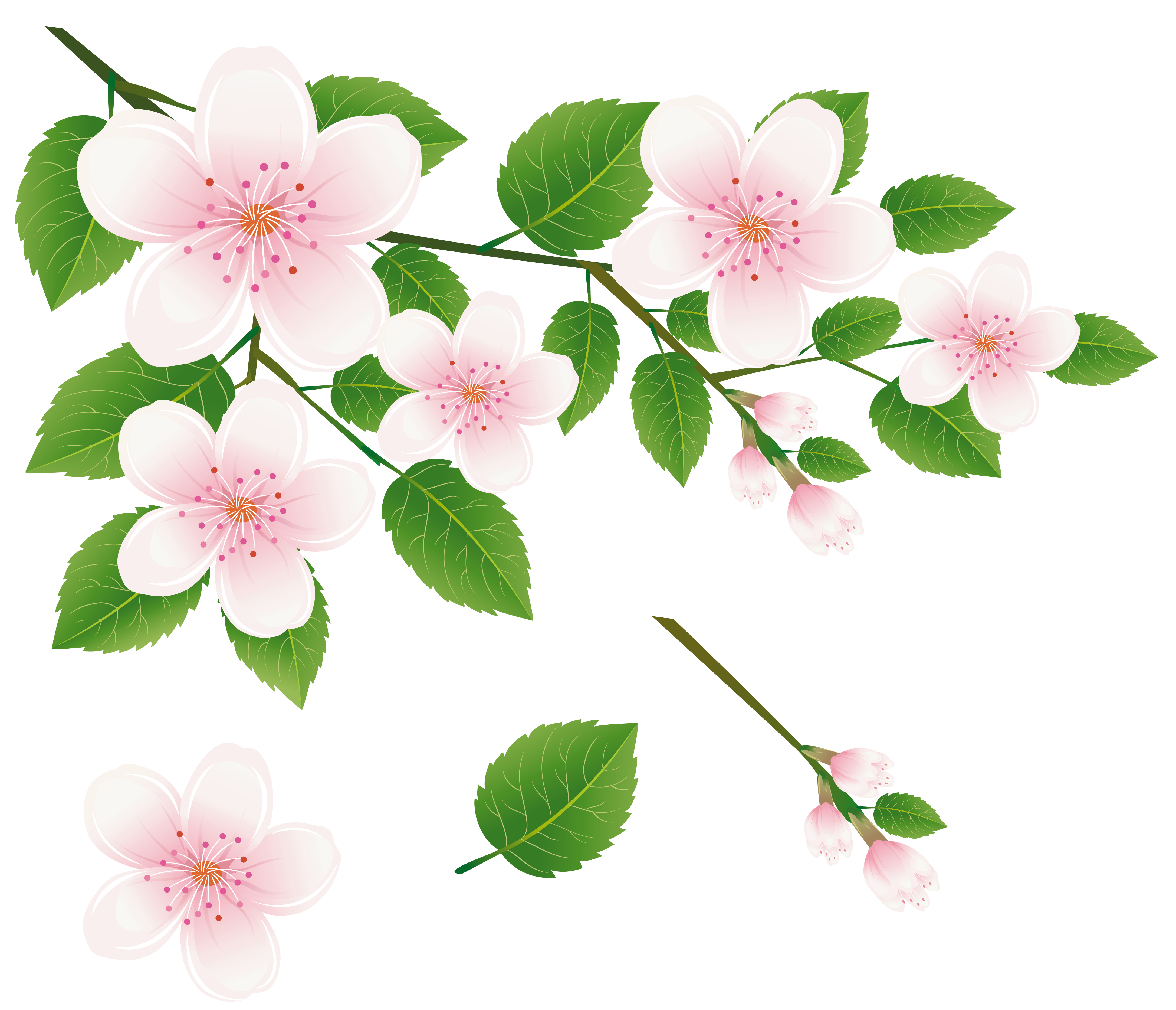 Spring Tree Branch with Flowers PNG Clipart Picture ...