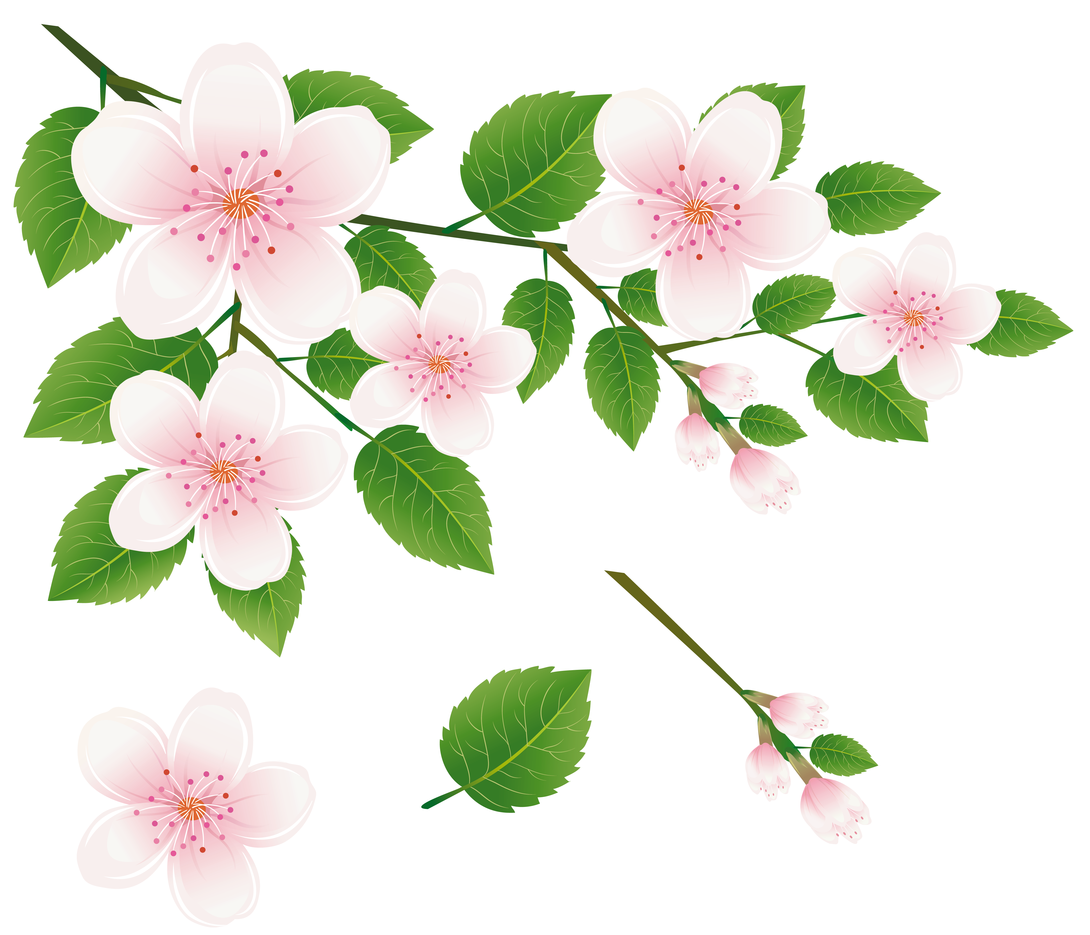 Spring Flowers Background​  Gallery Yopriceville - High-Quality Free Images  and Transparent PNG Clipart