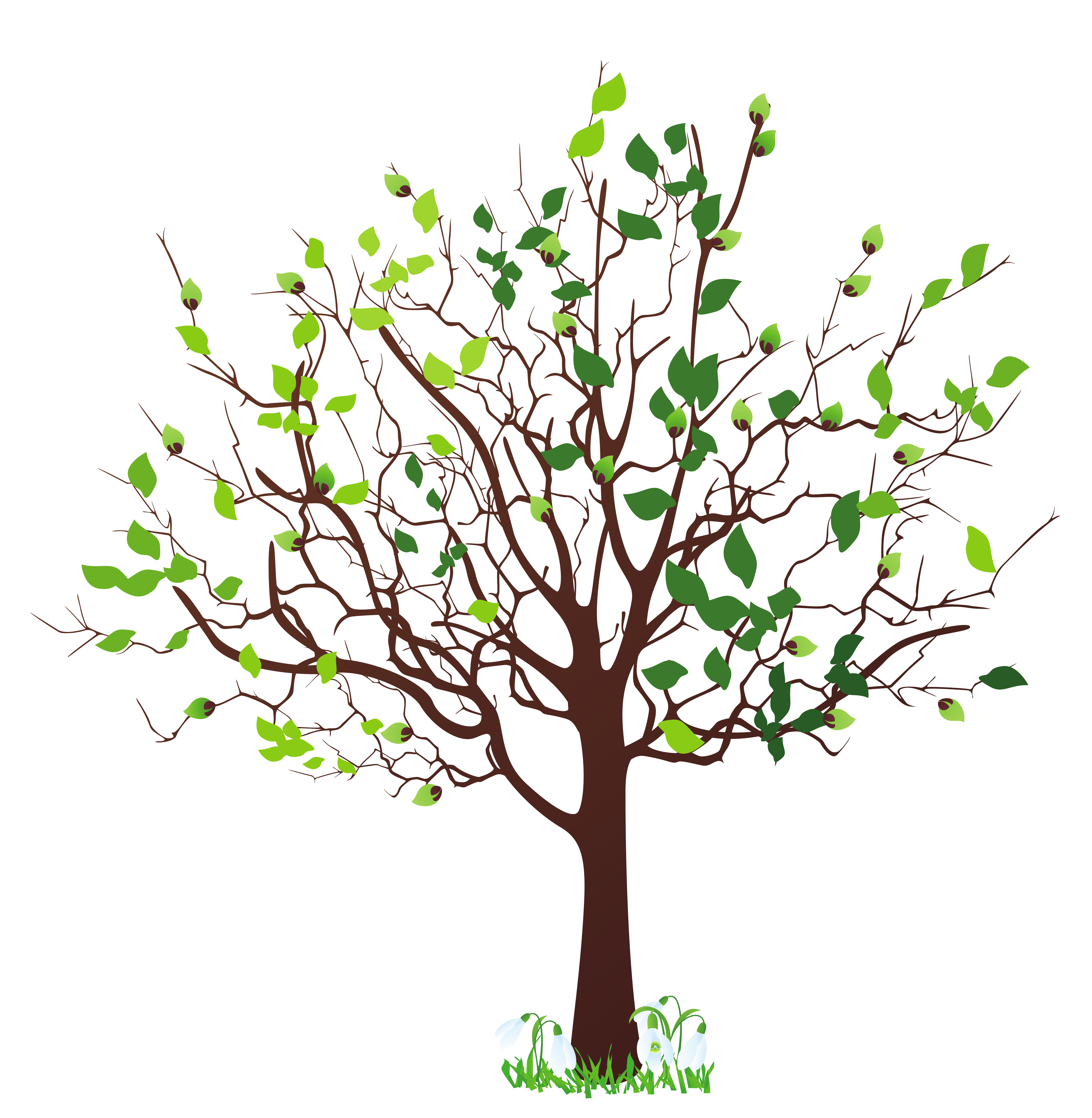 spring tree with snowdrops