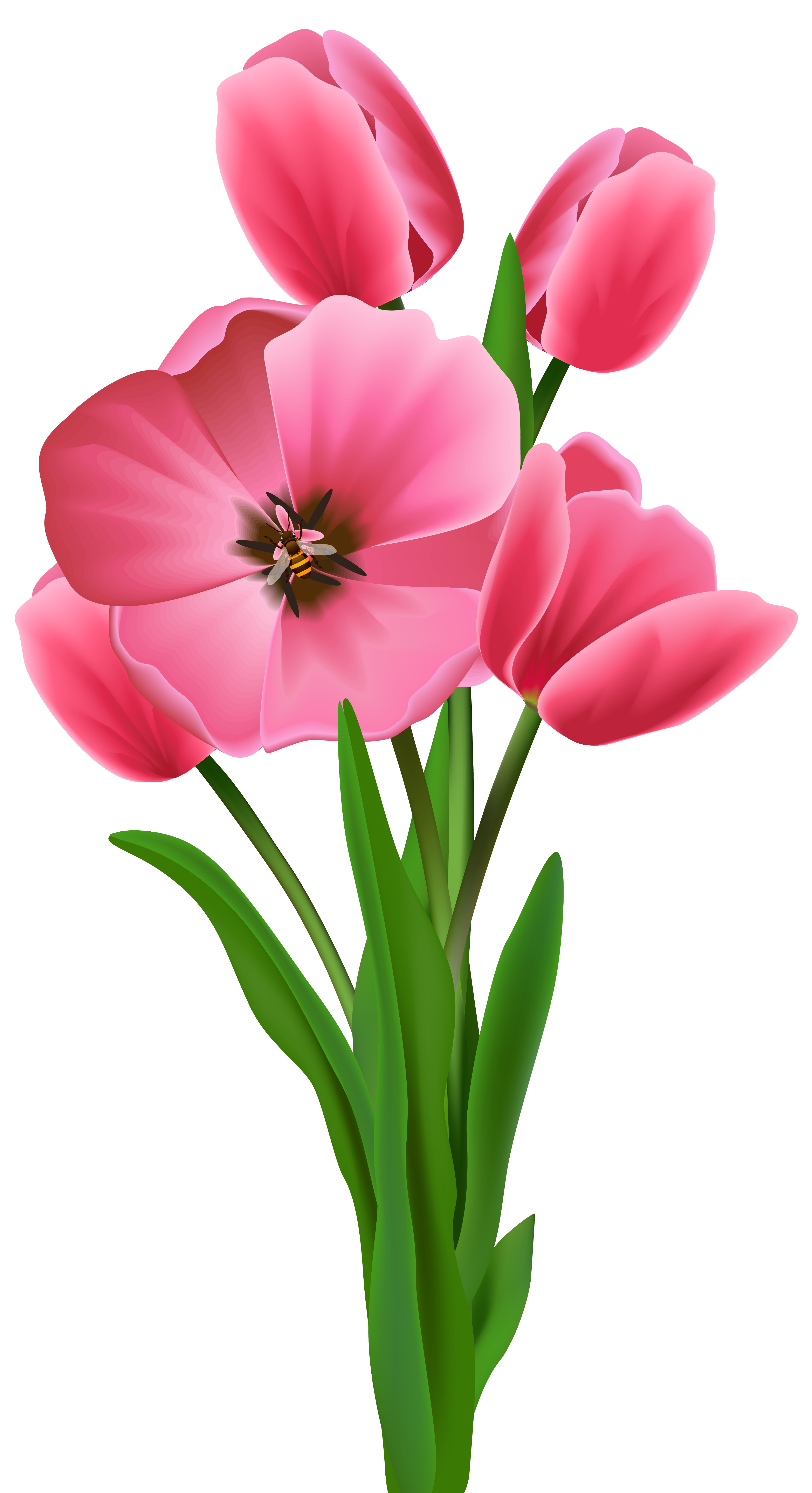 Spring Flowers Background​  Gallery Yopriceville - High-Quality Free Images  and Transparent PNG Clipart