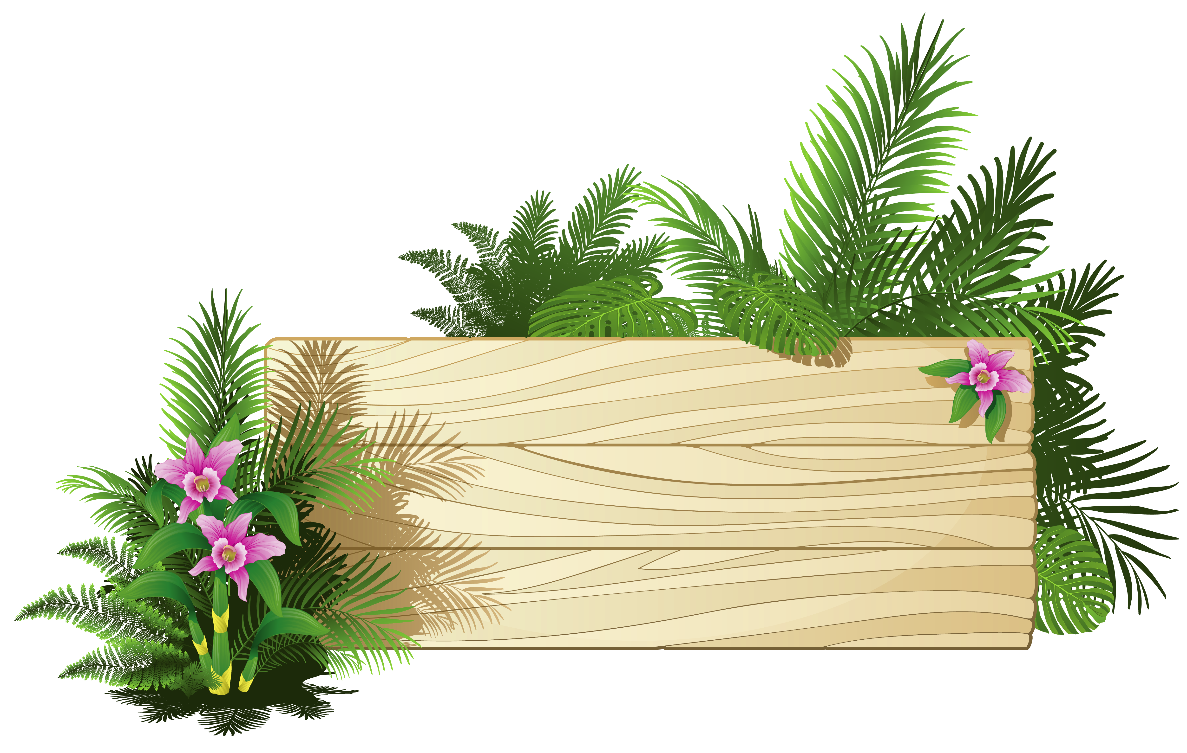 Exotic Board PNG Clipart | Gallery Yopriceville - High ...