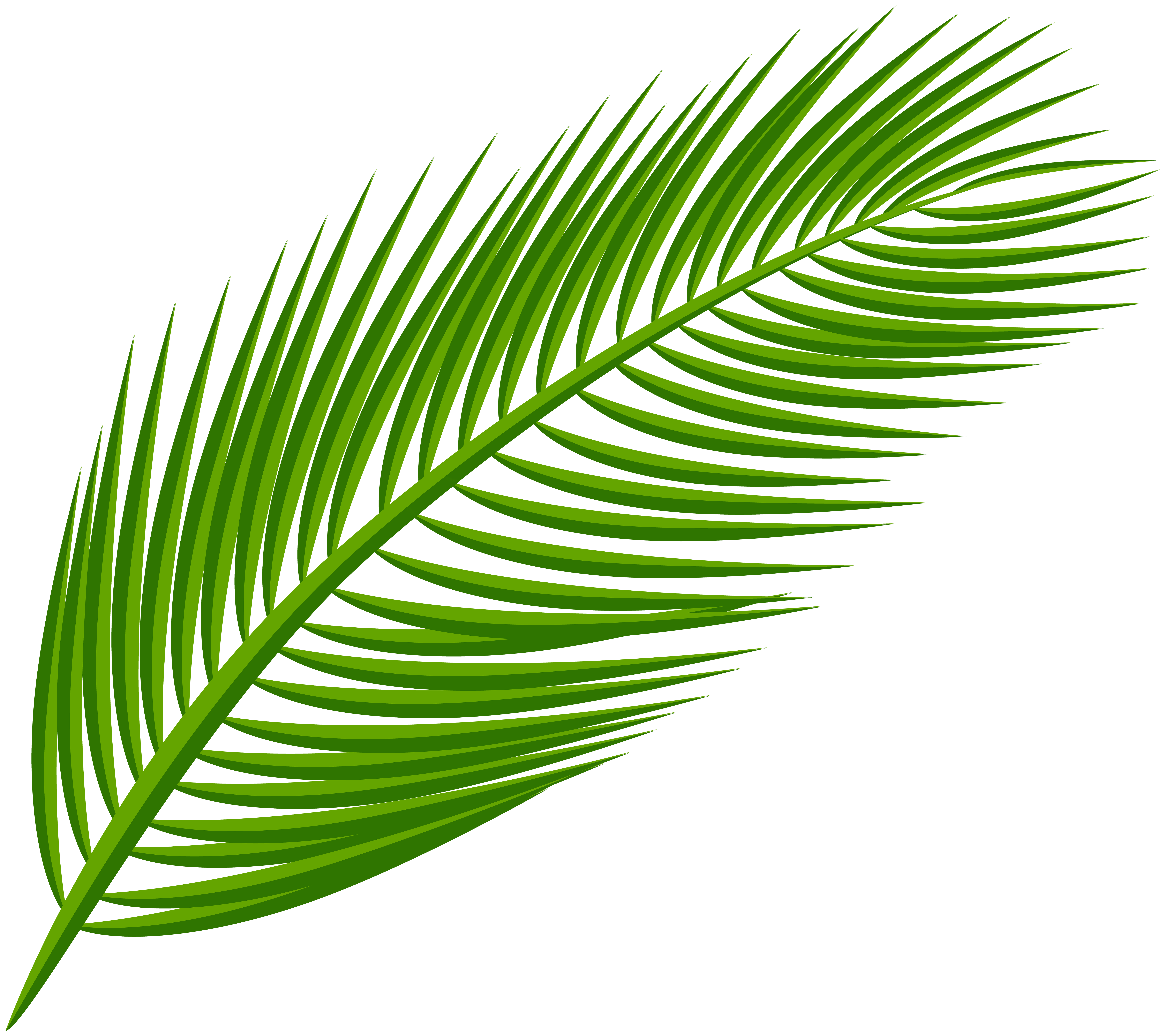 Palm Leaf Transparent Clip Art Image Gallery Yopriceville High Quality Images And Transparent Png Free Clipart
