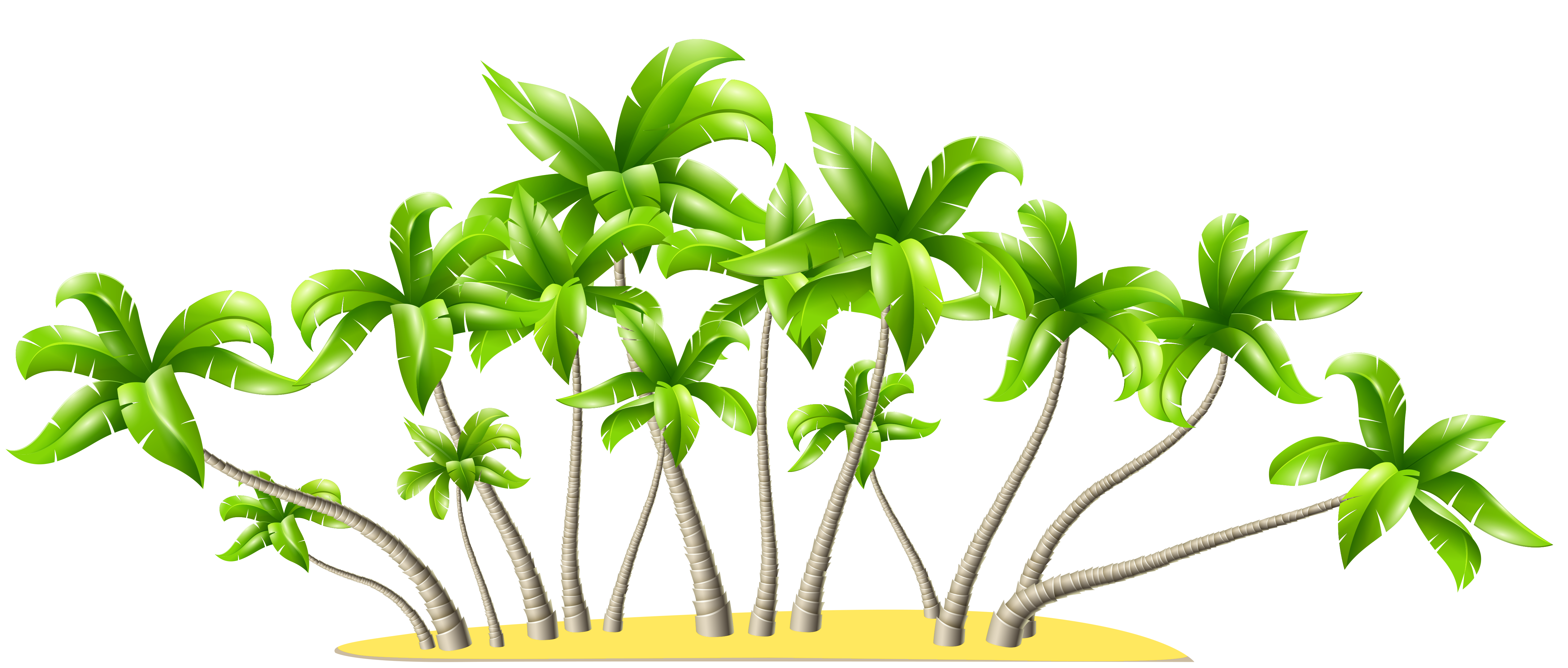 tropical palm tree clipart