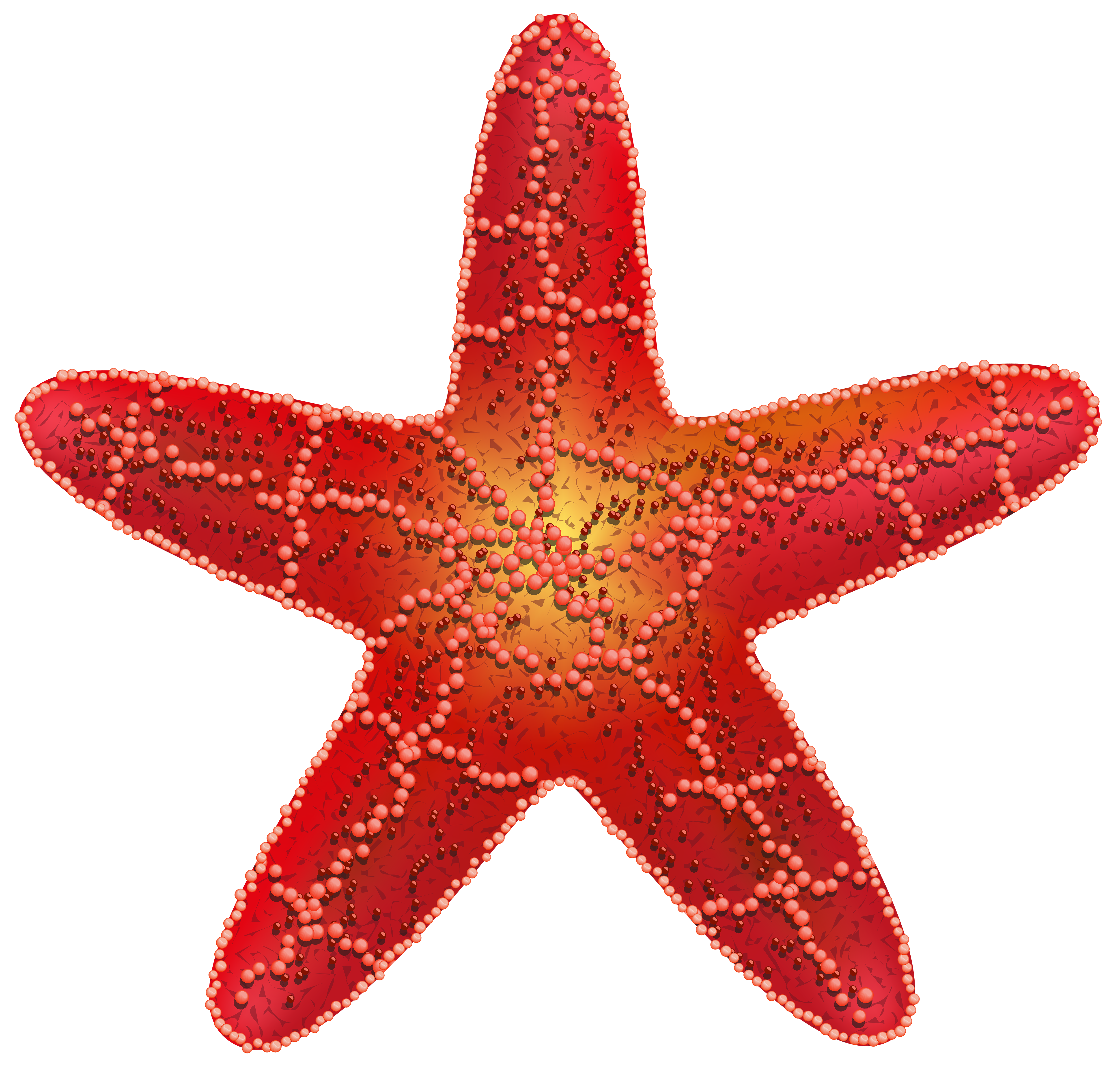Red Starfish PNG Clip Art Image | Gallery Yopriceville - High ... for Pink Starfish Clipart
104xkb Red Starfish PNG Clip Art Image | Gallery Yopriceville - High ... for Pink Starfish Clipart
104xkb