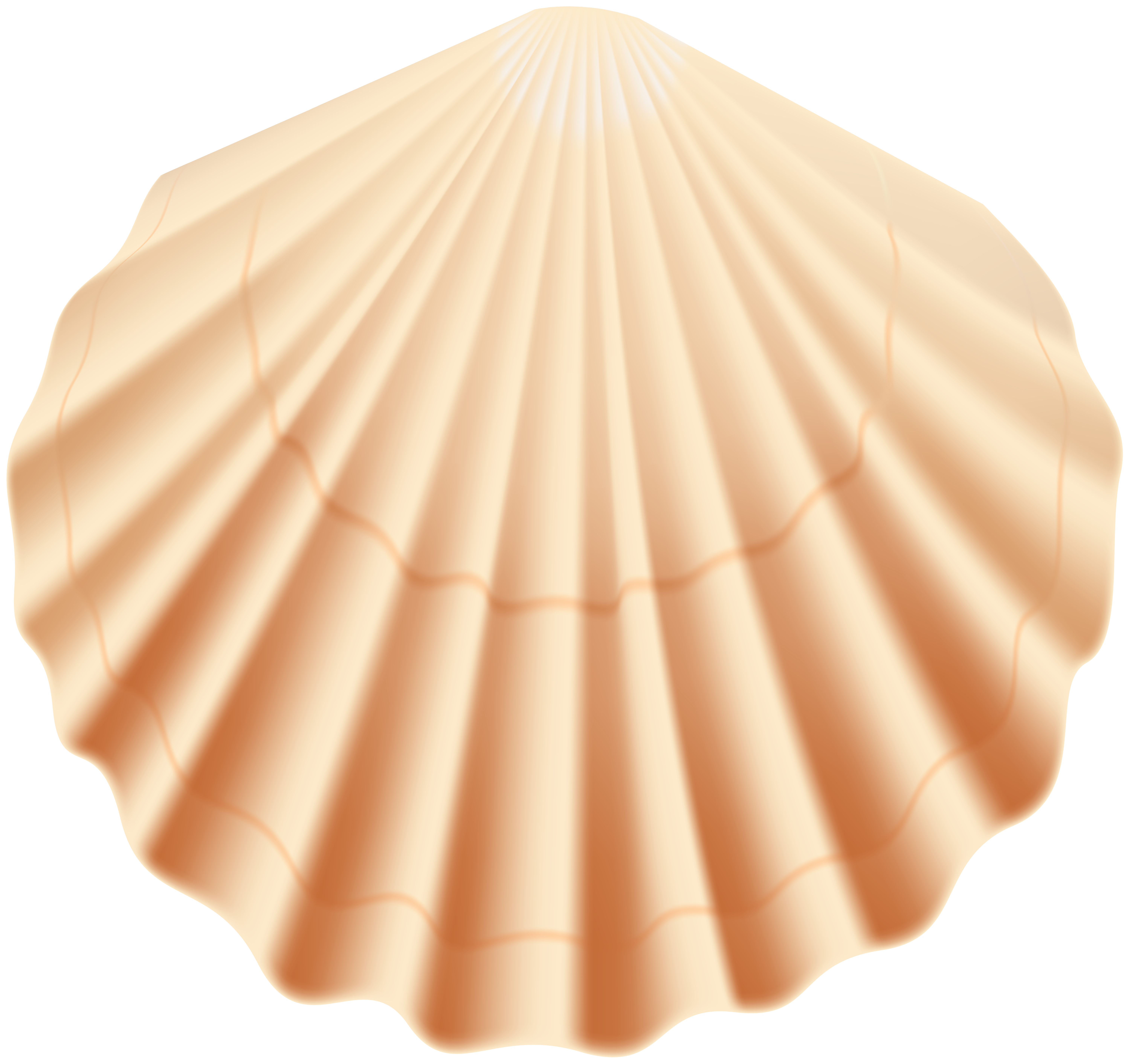 Seashell Transparent PNG Clip Art Image | Gallery Yopriceville - High