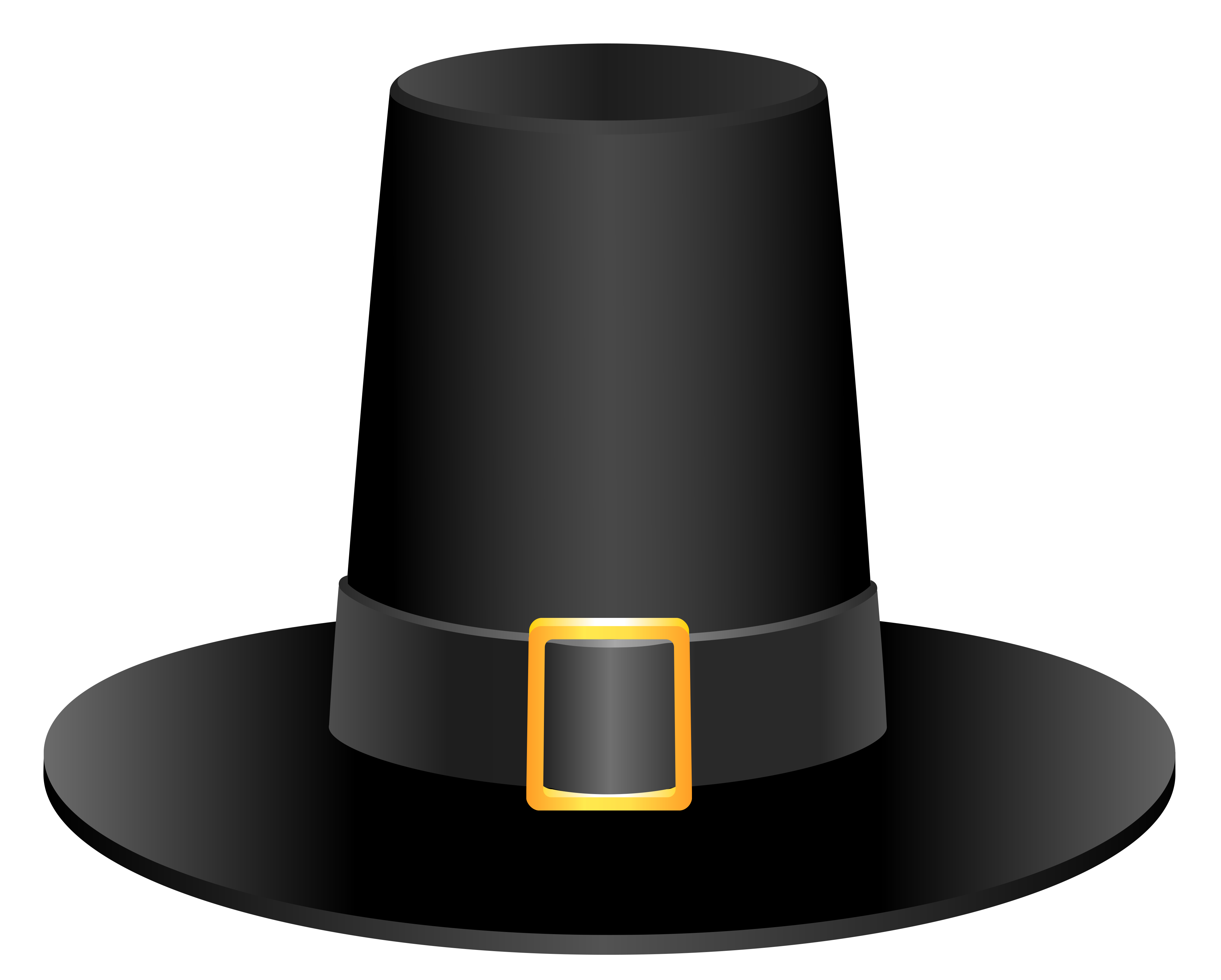 Picture Of A Pilgrim Hat