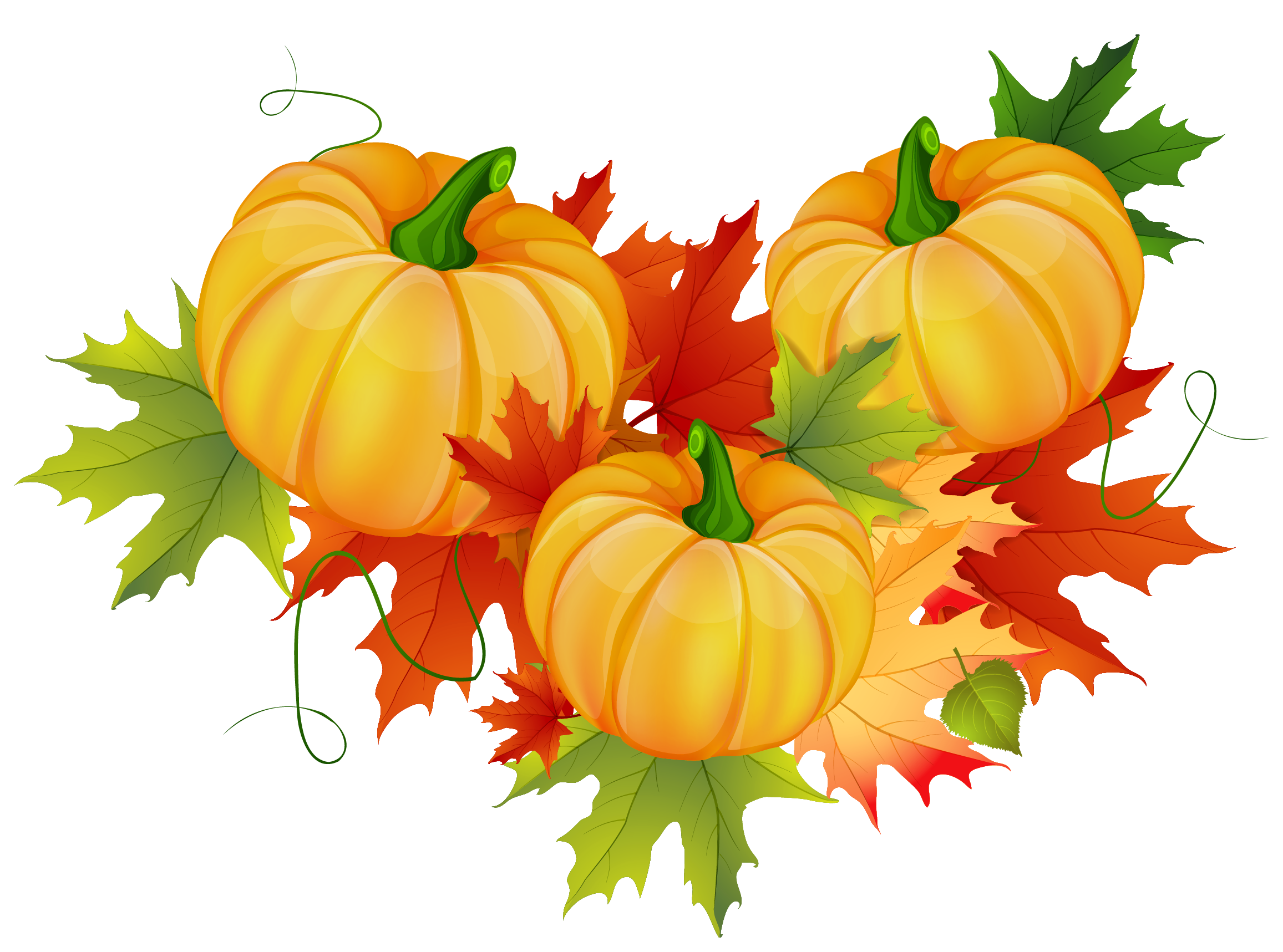 thanksgiving pumpkin png