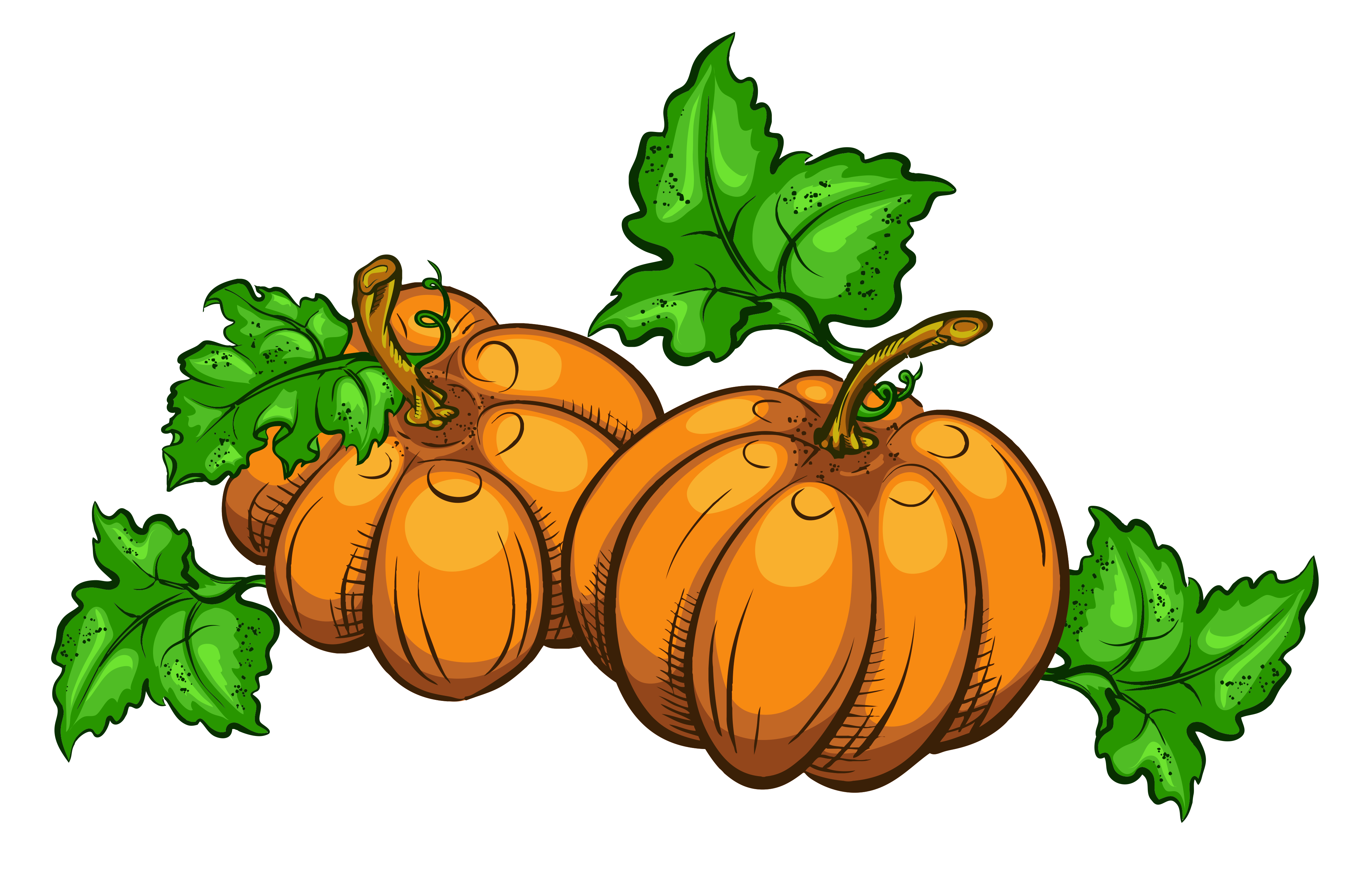 Thanksgiving Pumpkin Png