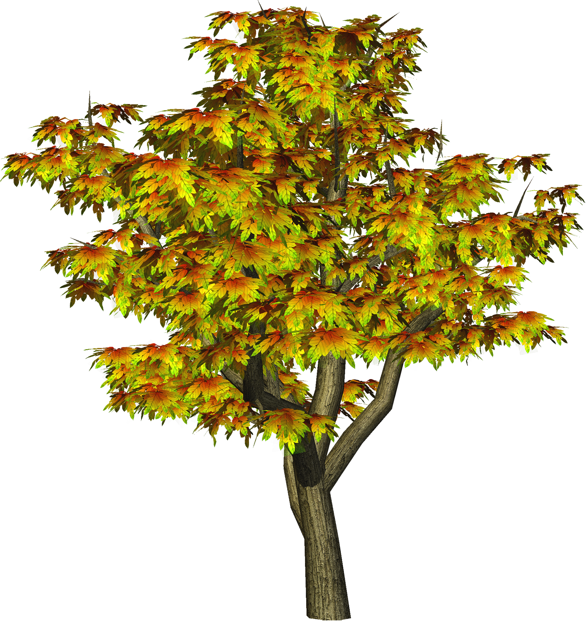 Autumn Tree PNG Tree Clipart | Gallery Yopriceville - High ...