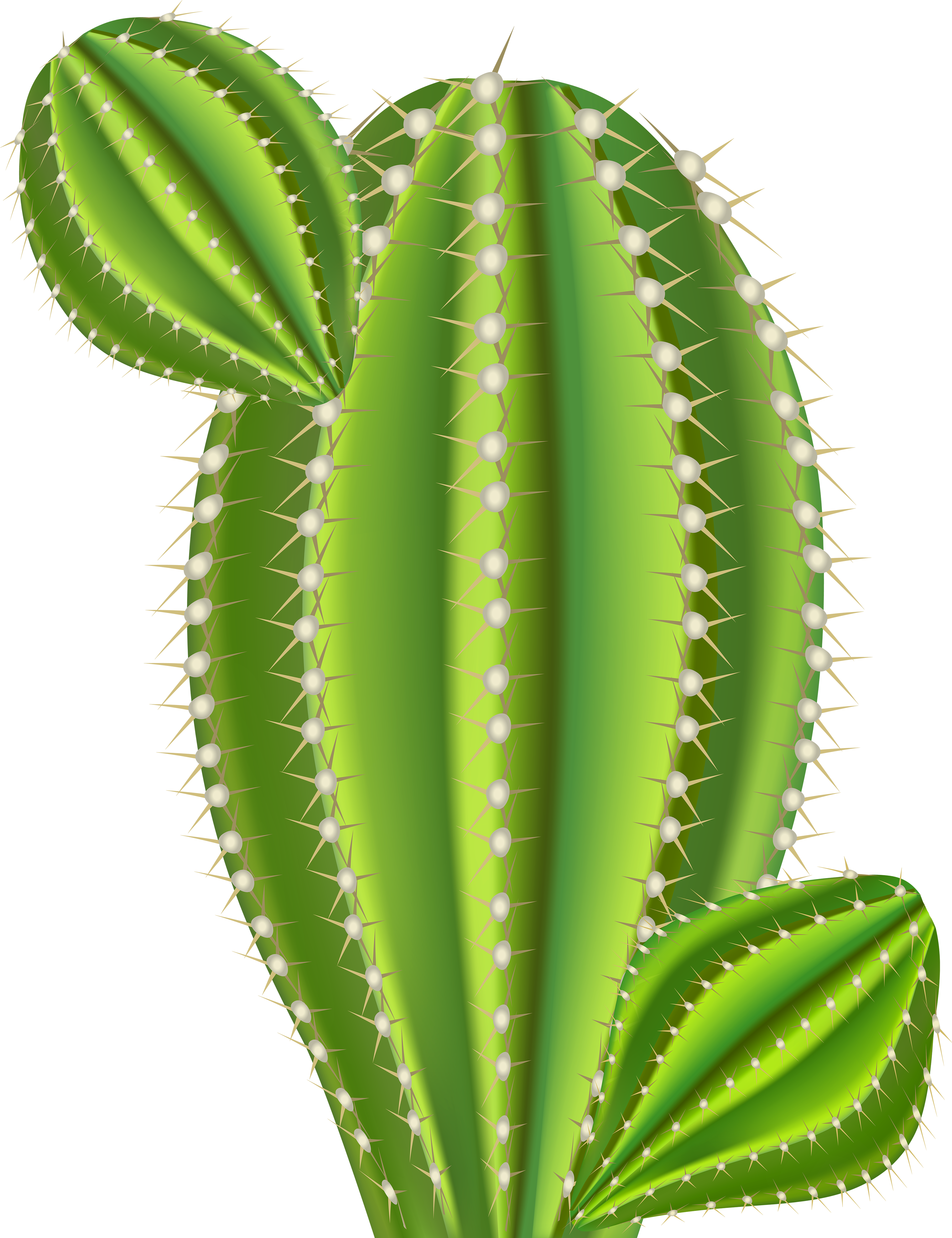 clip art cactus