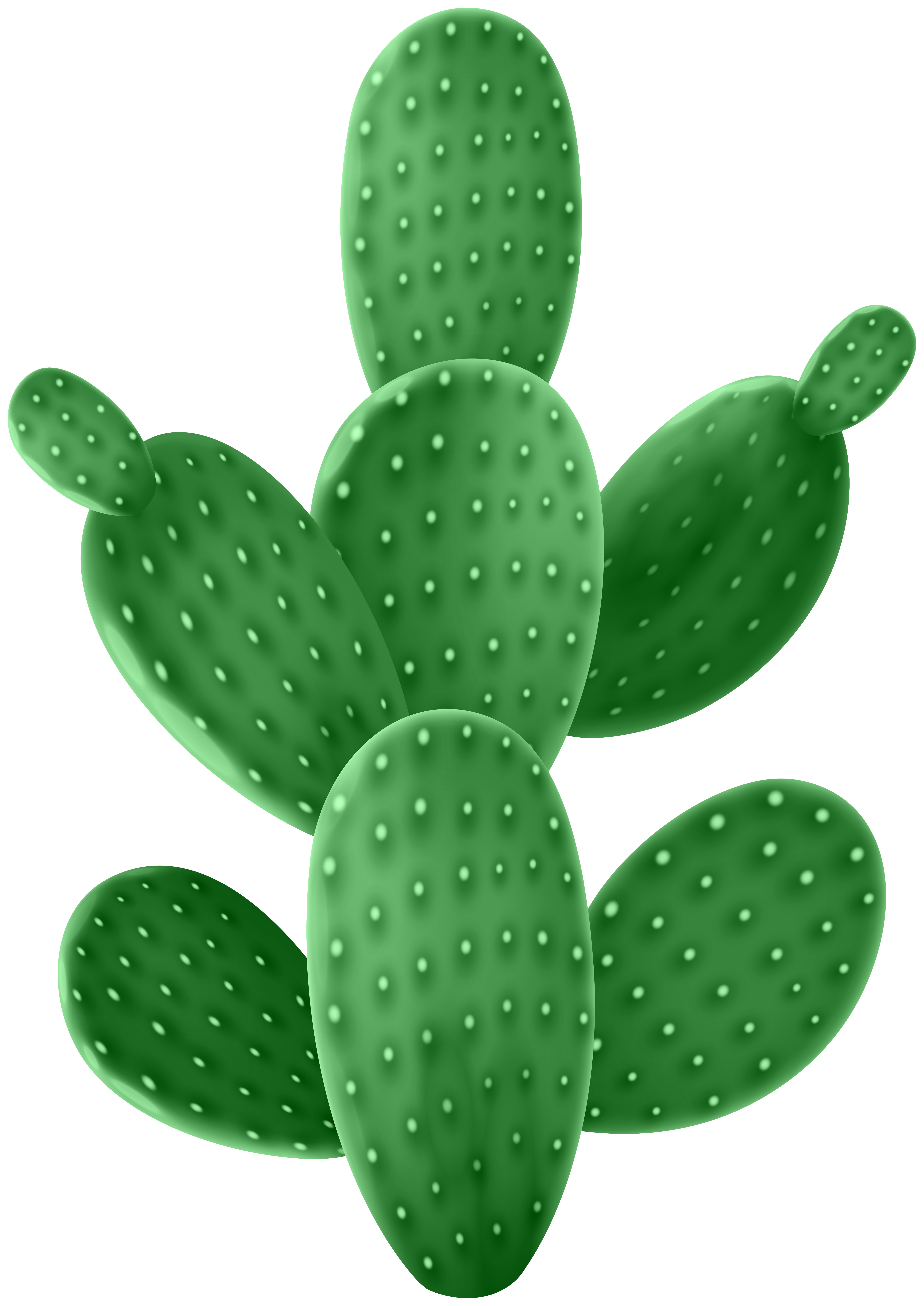 Cactus PNGs for Free Download