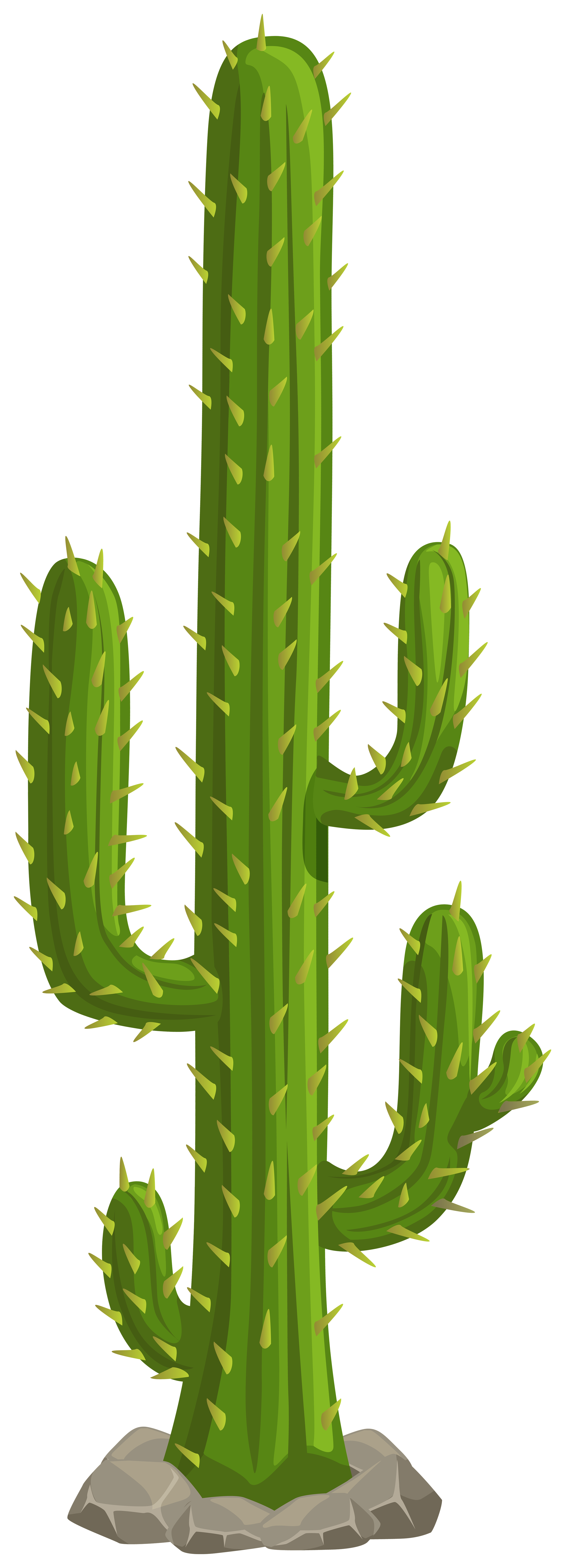 Cactus PNG Clipart​  Gallery Yopriceville - High-Quality Free
