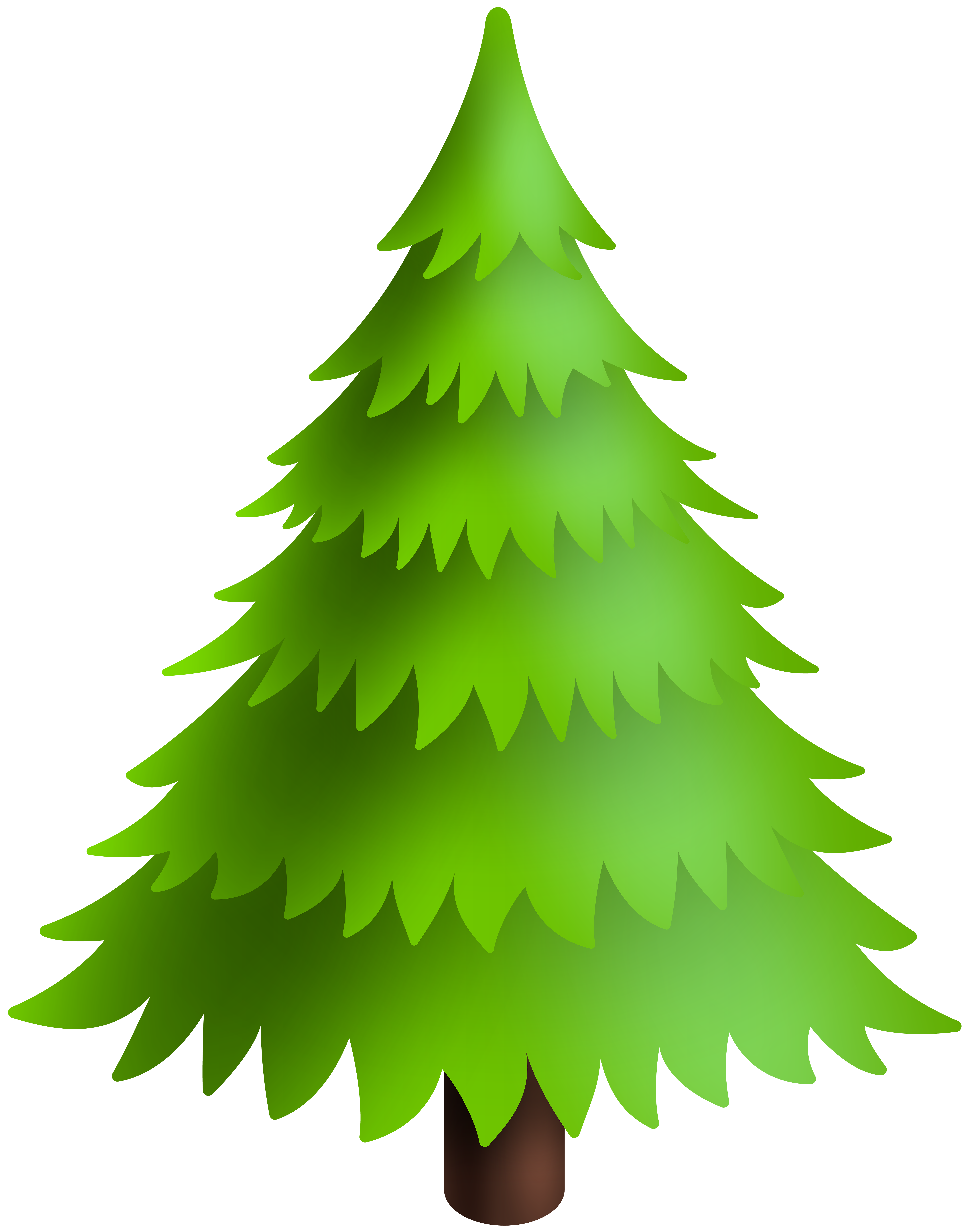 blue spruce tree clip art