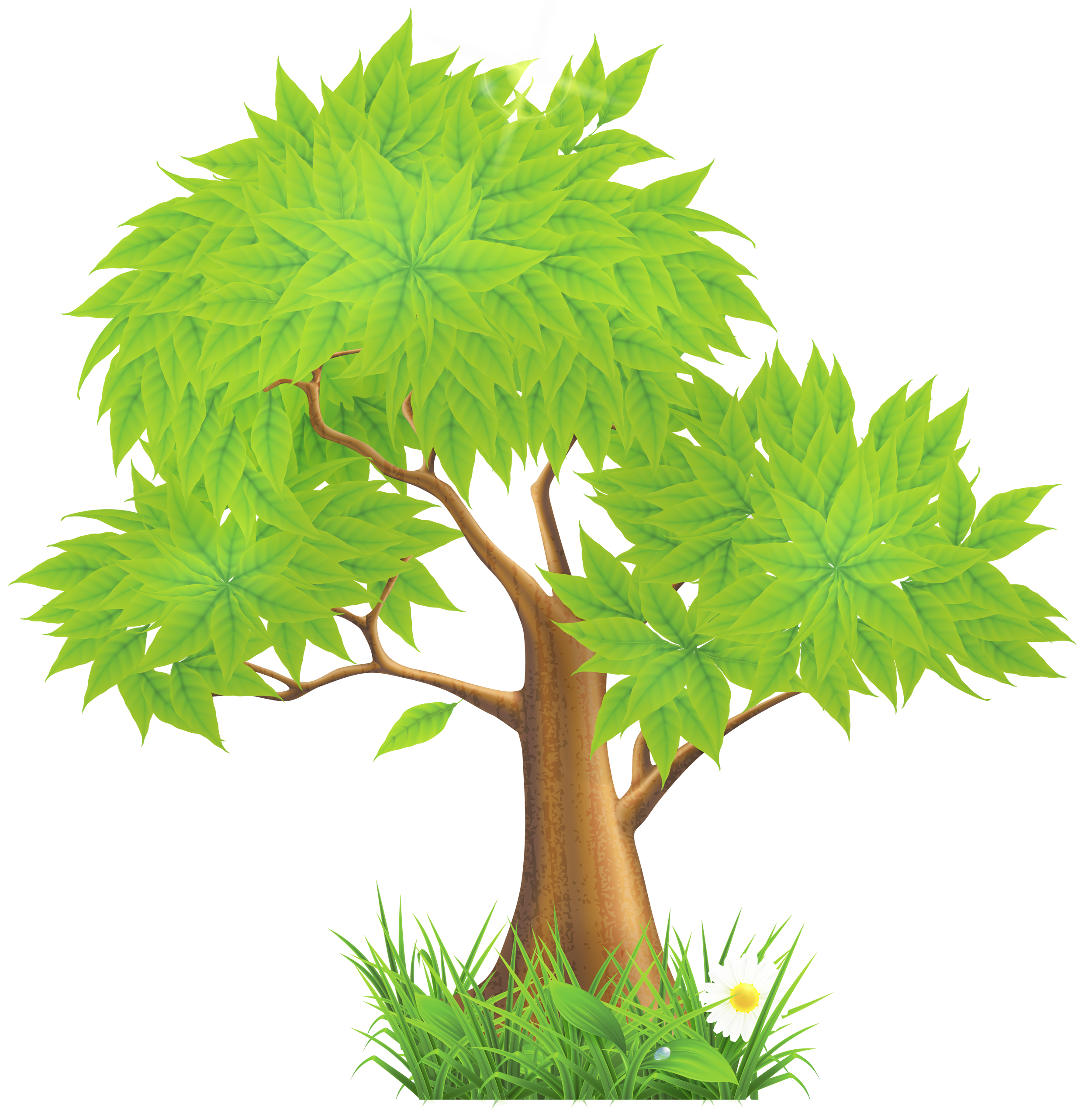 Green Painted Tree PNG Clipart | Gallery Yopriceville - High-Quality