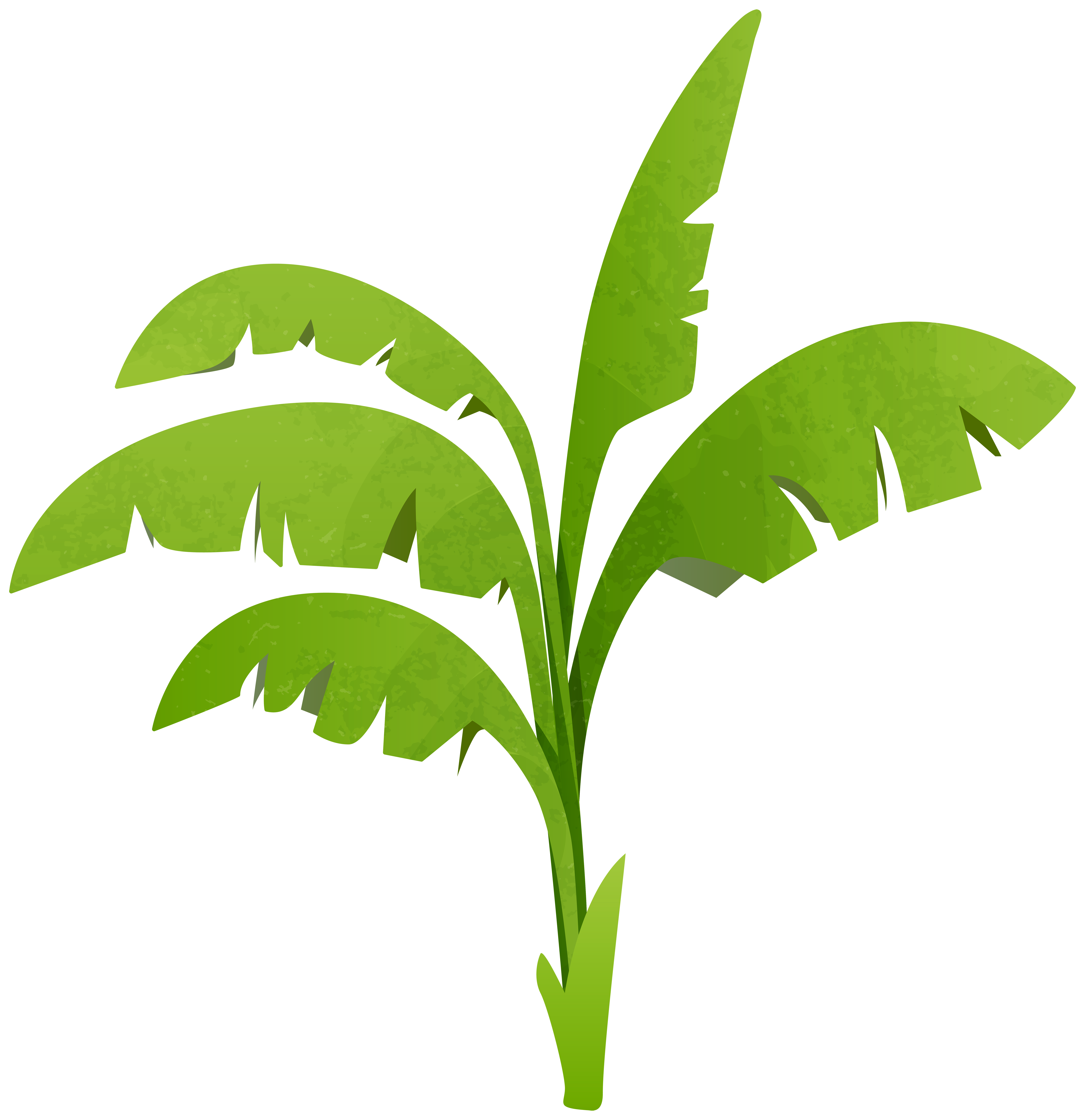Green Plant Transparent PNG Clip Art Image​ | Gallery Yopriceville -  High-Quality Free Images and Transparent PNG Clipart