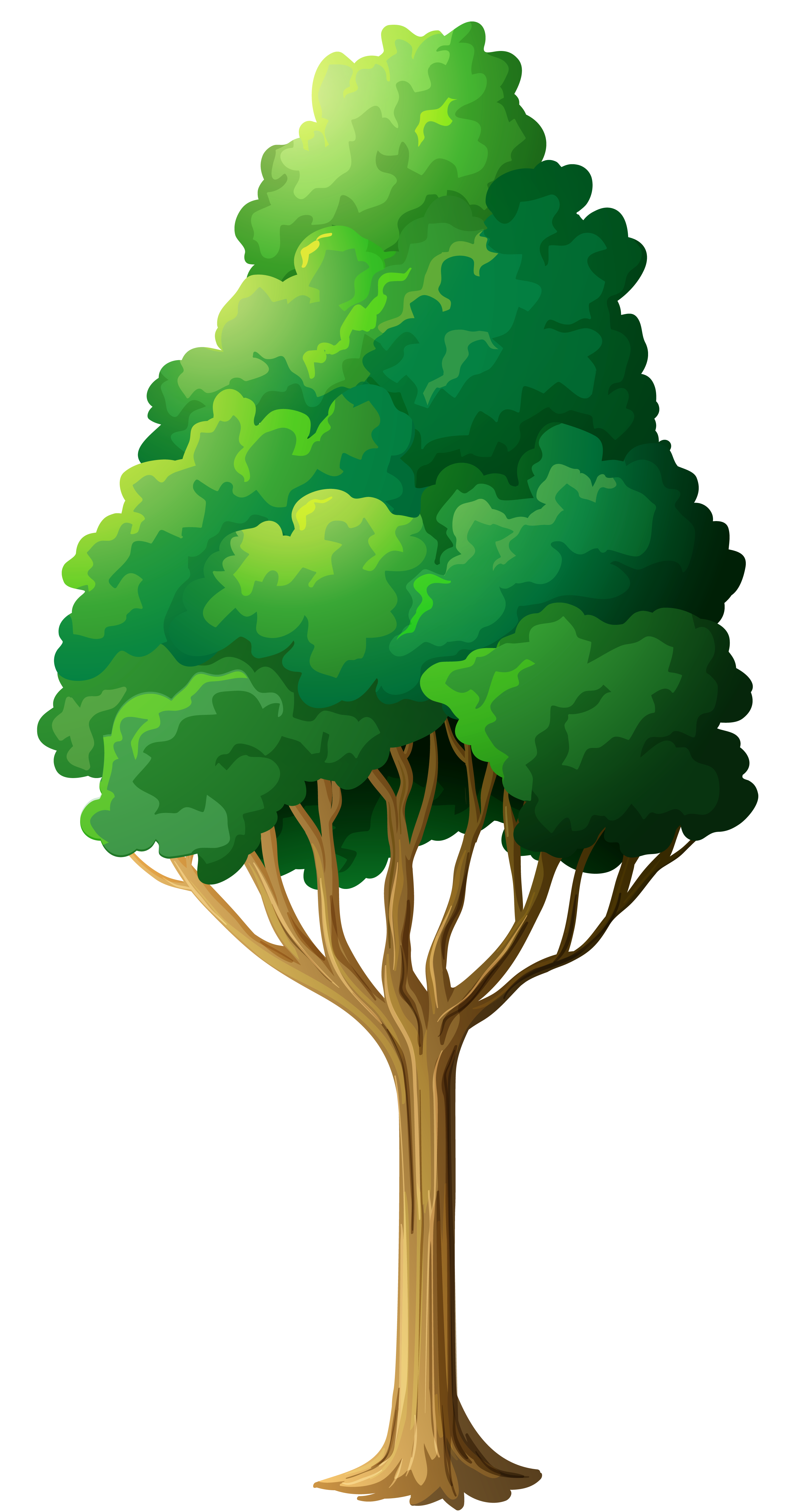 Green Tree PNG Clipart | Gallery Yopriceville - High-Quality Images and