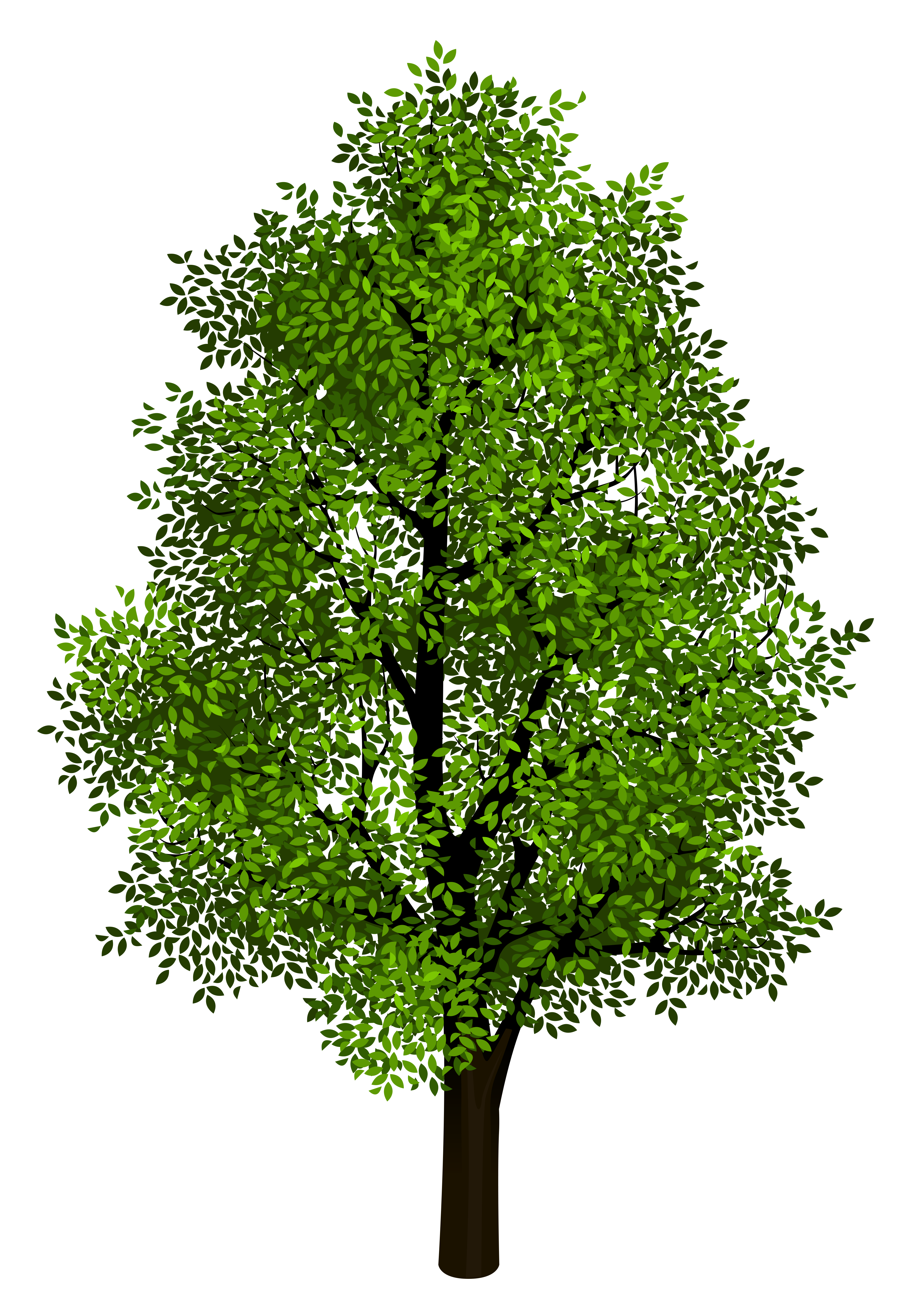 Tree transparent deals background