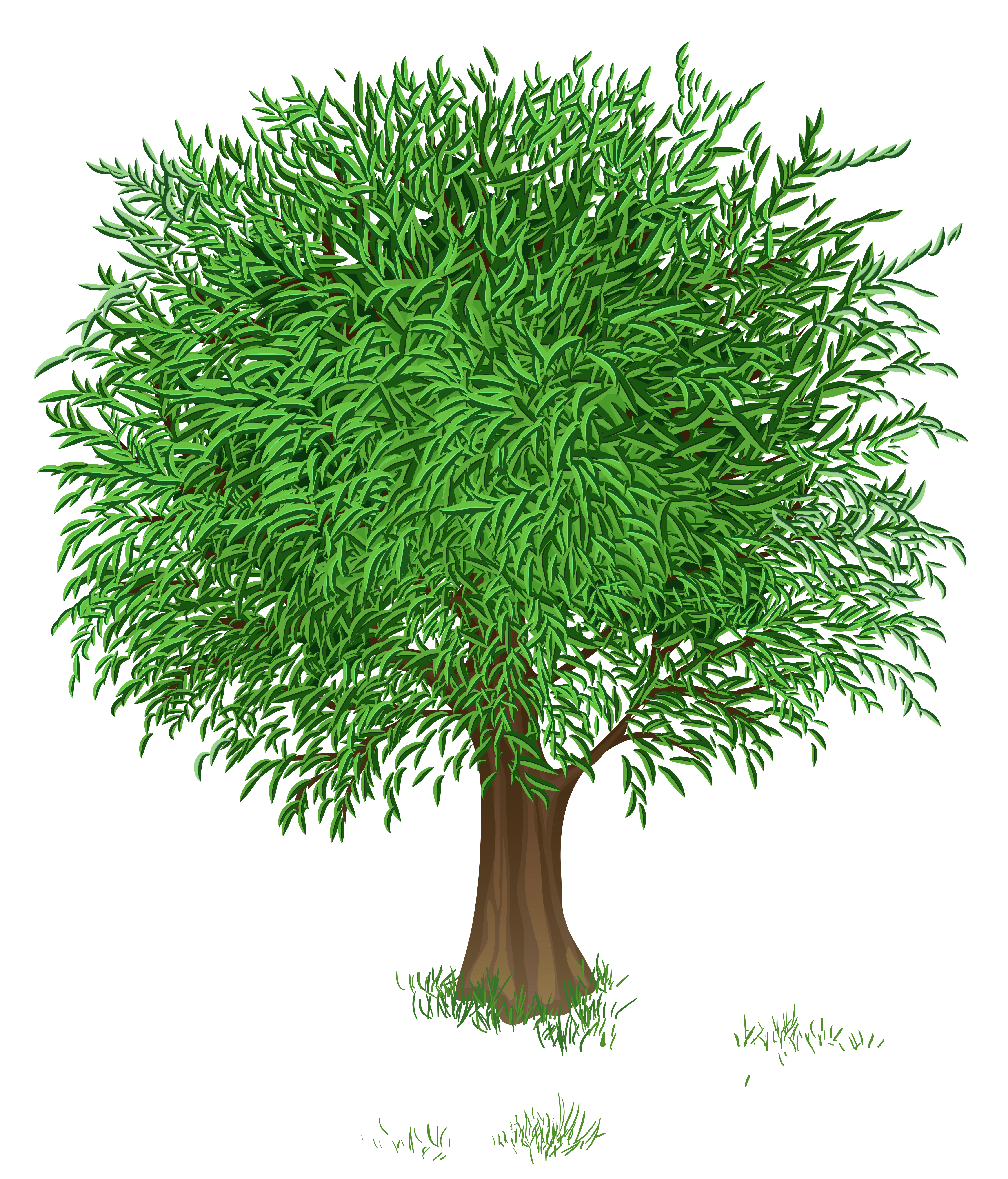 Green Tree Transparent PNG Clipart Picture | Gallery ...