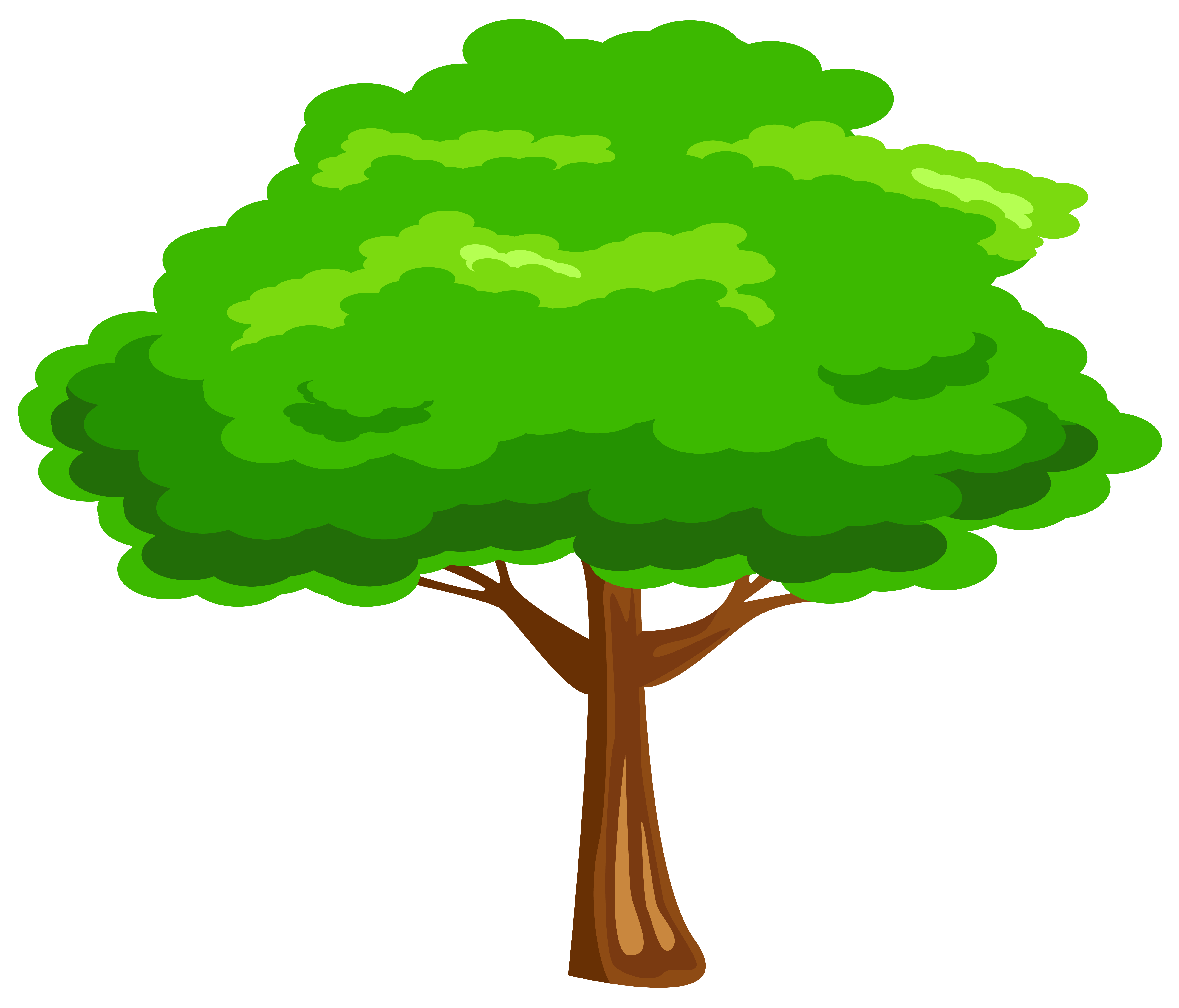 Green Tree Png Image Gallery Yopriceville High Quality Images And Transparent Png Free Clipart