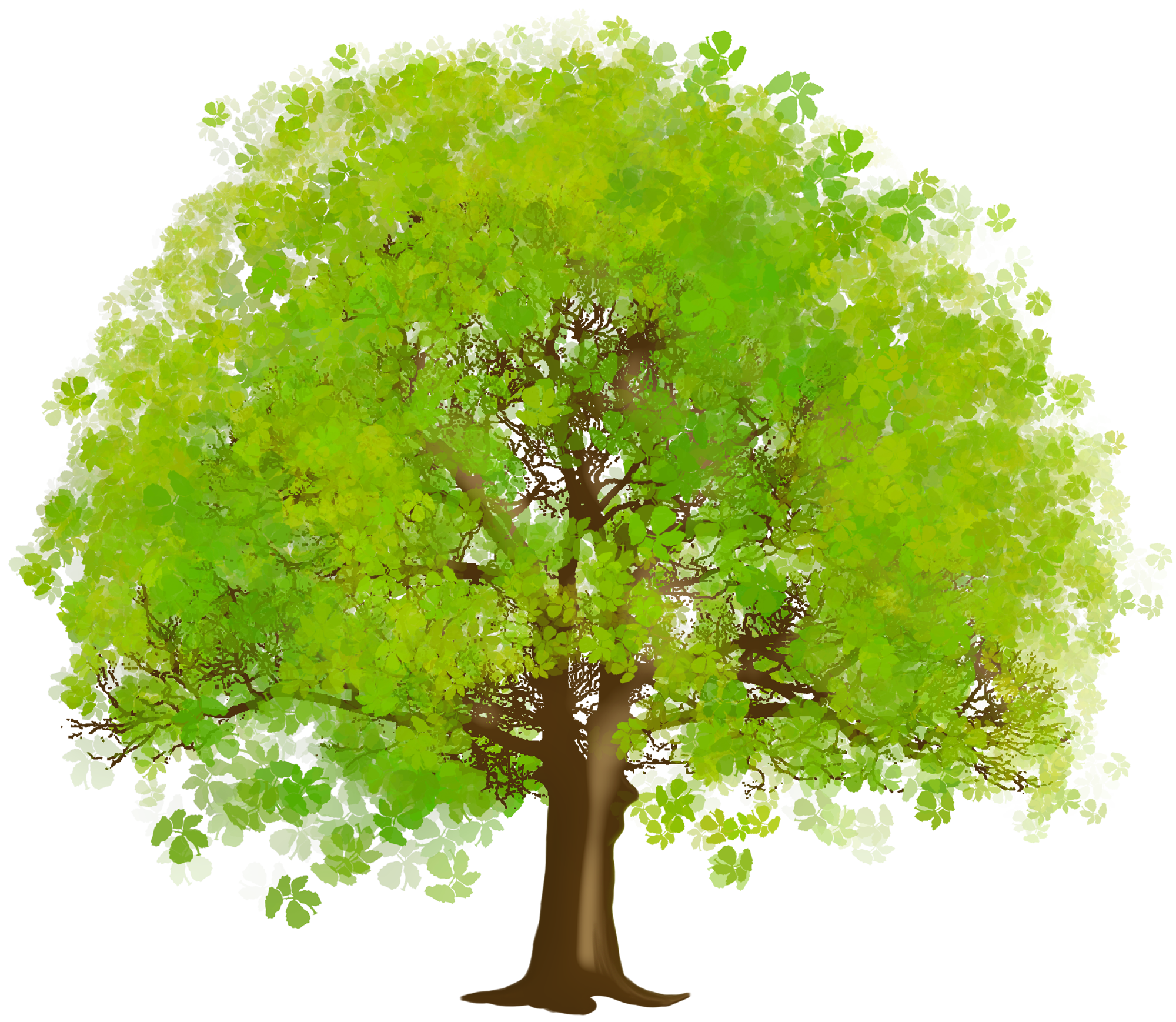 free clipart trees