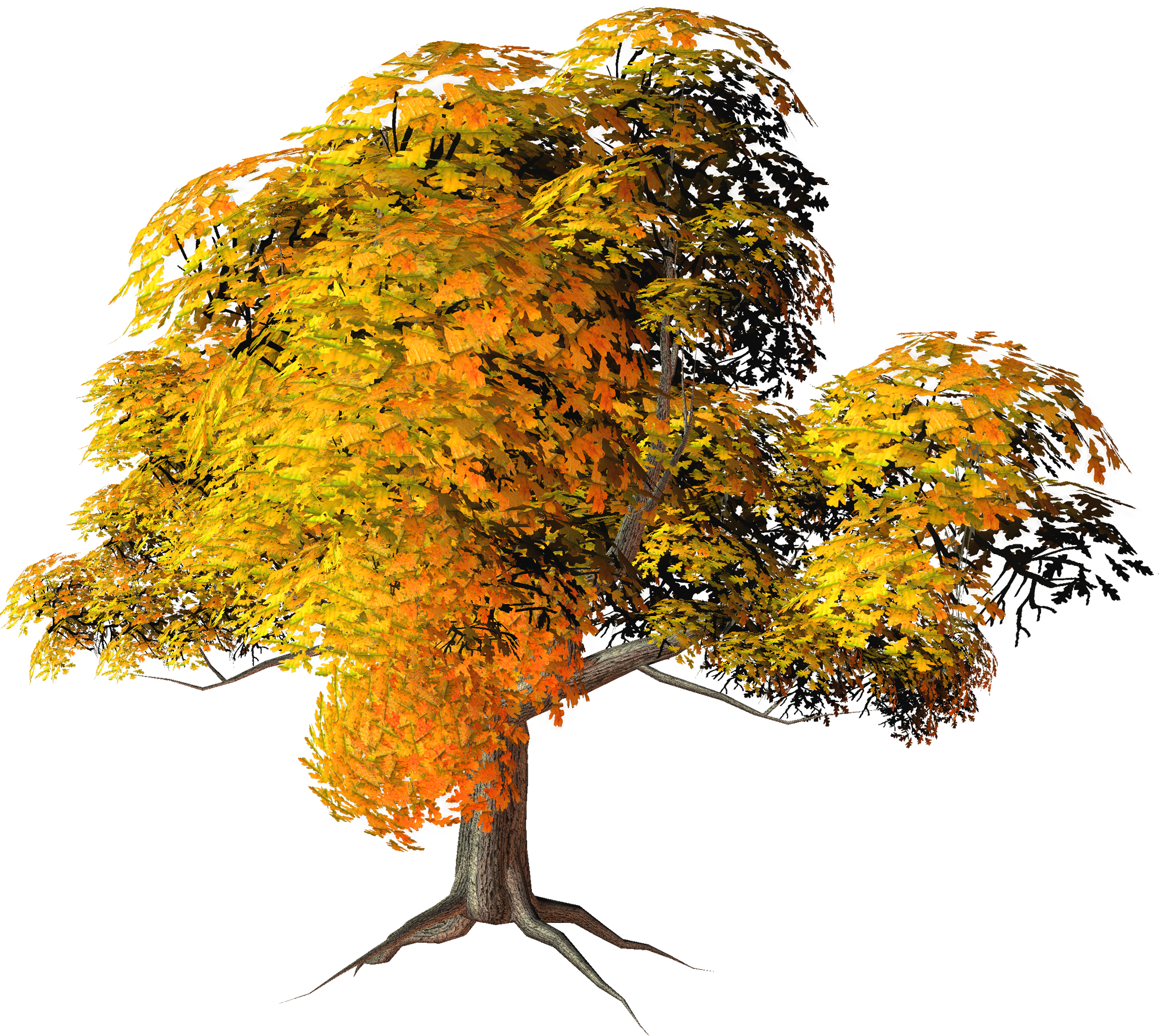 fall tree png