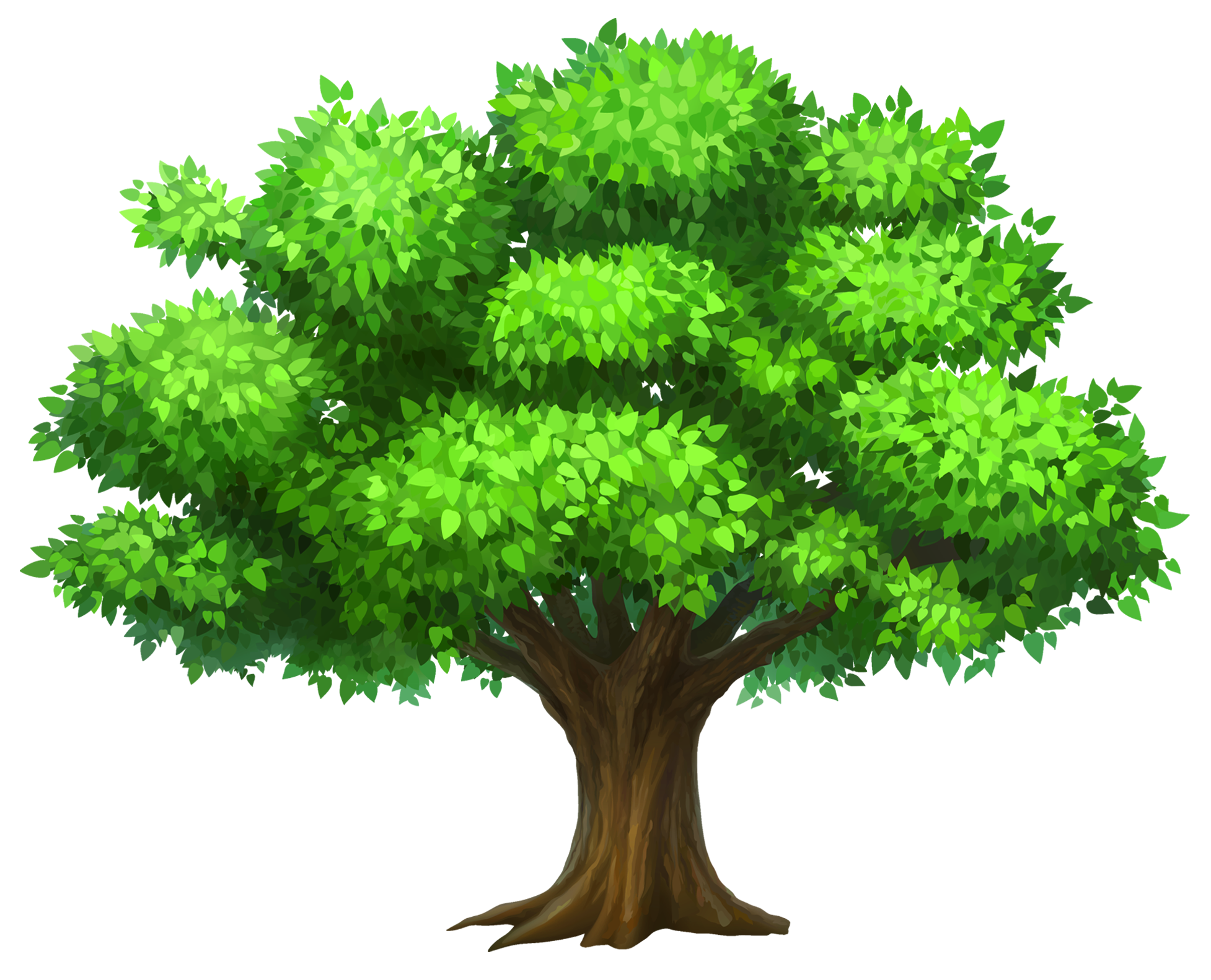 Peepal Tree Clipart