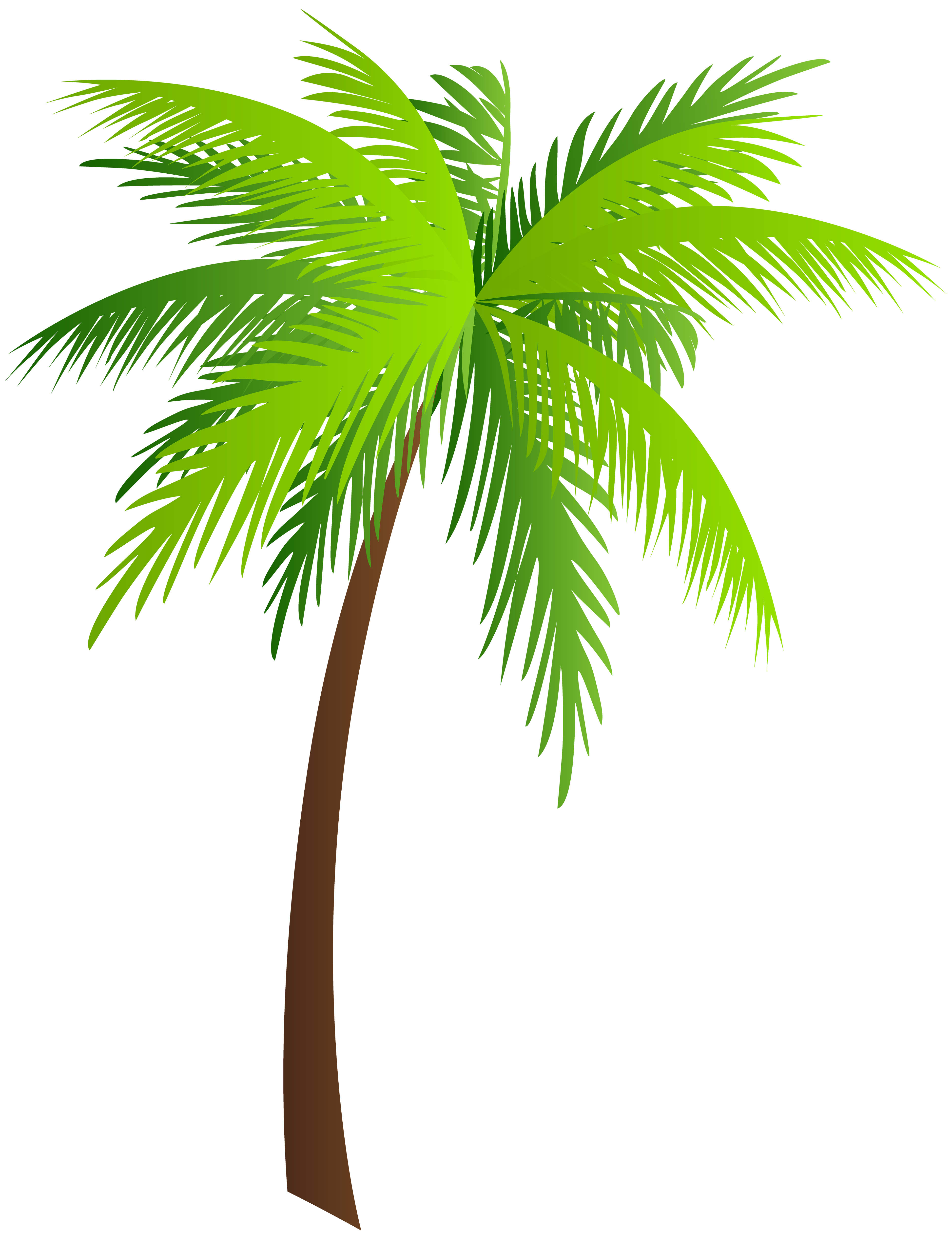 Palm PNG Clip Art Image | Gallery Yopriceville - High-Quality Free ...