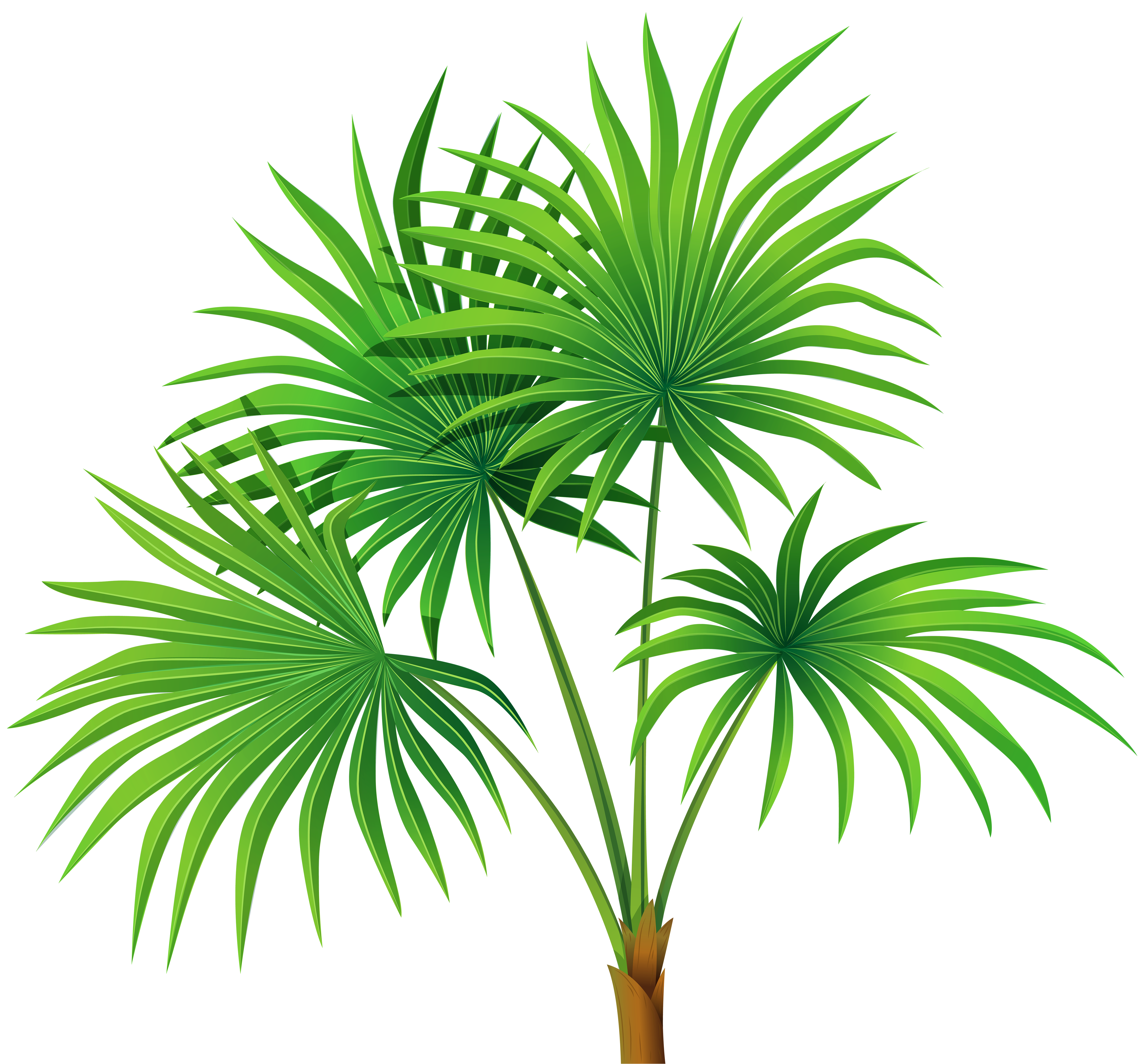 Palm Plant Transparent PNG Clip Art | Gallery Yopriceville - High ... for Plant Transparent Png
113cpg Palm Plant Transparent PNG Clip Art | Gallery Yopriceville - High ... for Plant Transparent Png
113cpg