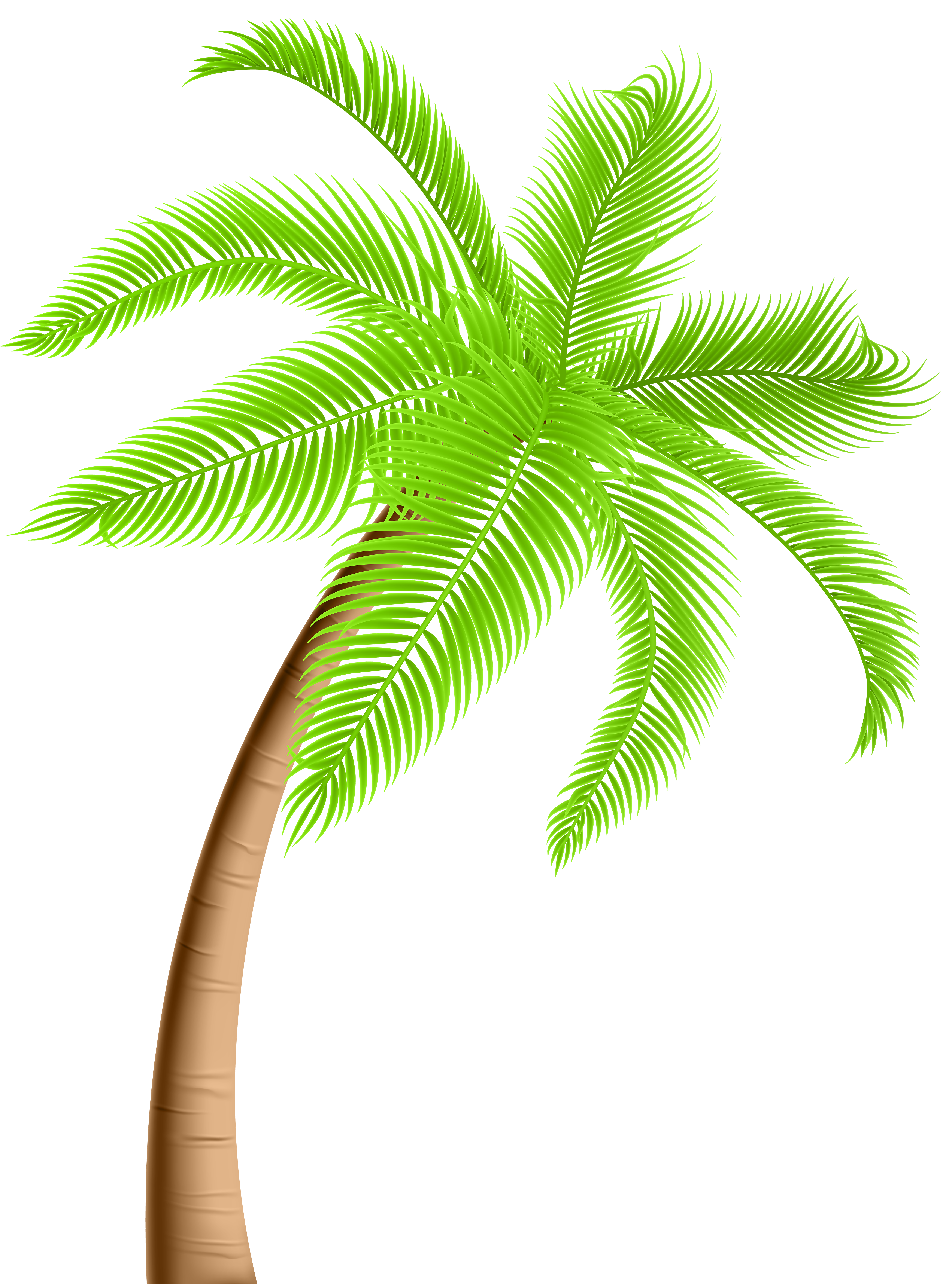 Palm Tree Png Cartoon - Cat's Blog