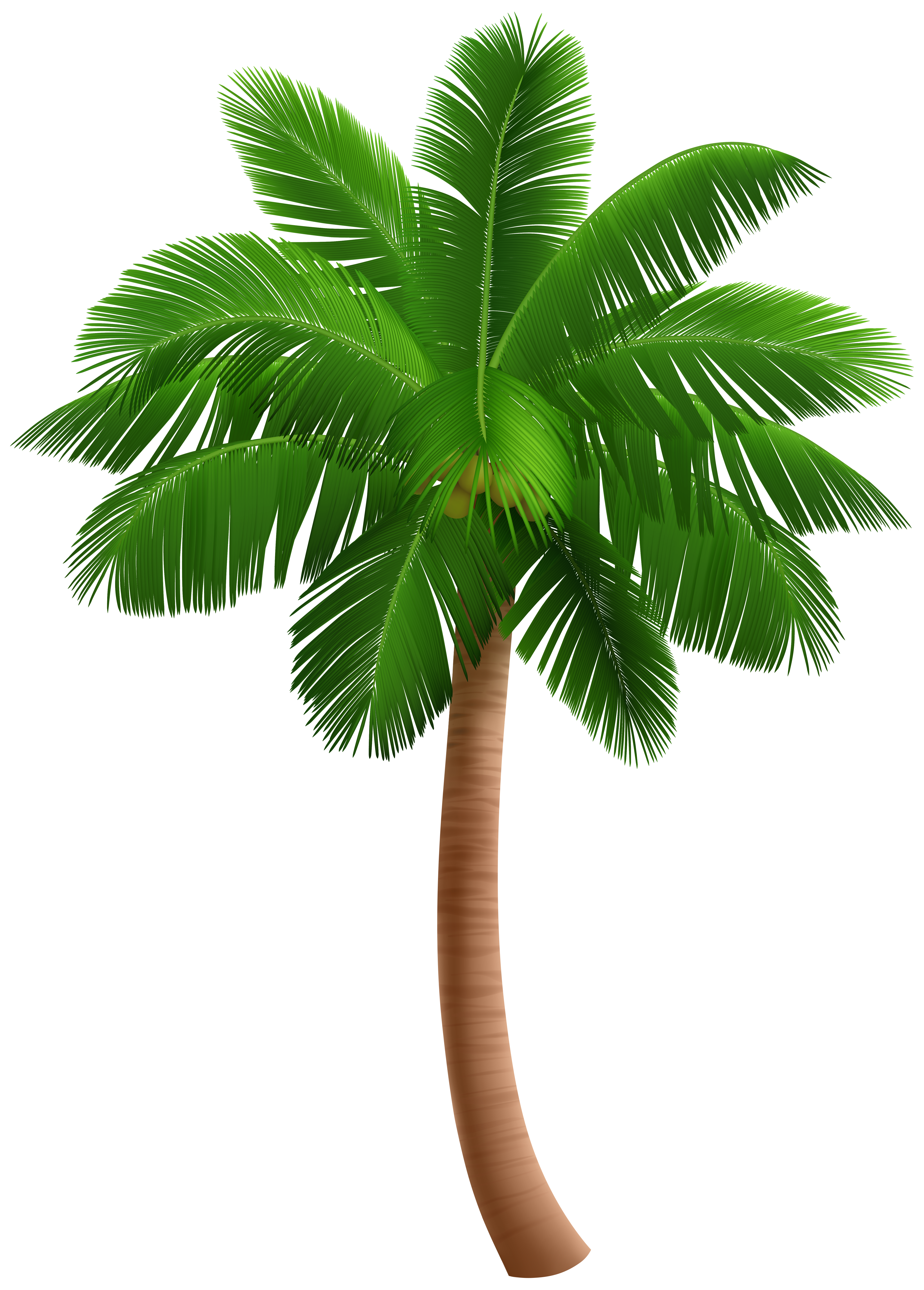 palm tree christmas clip art