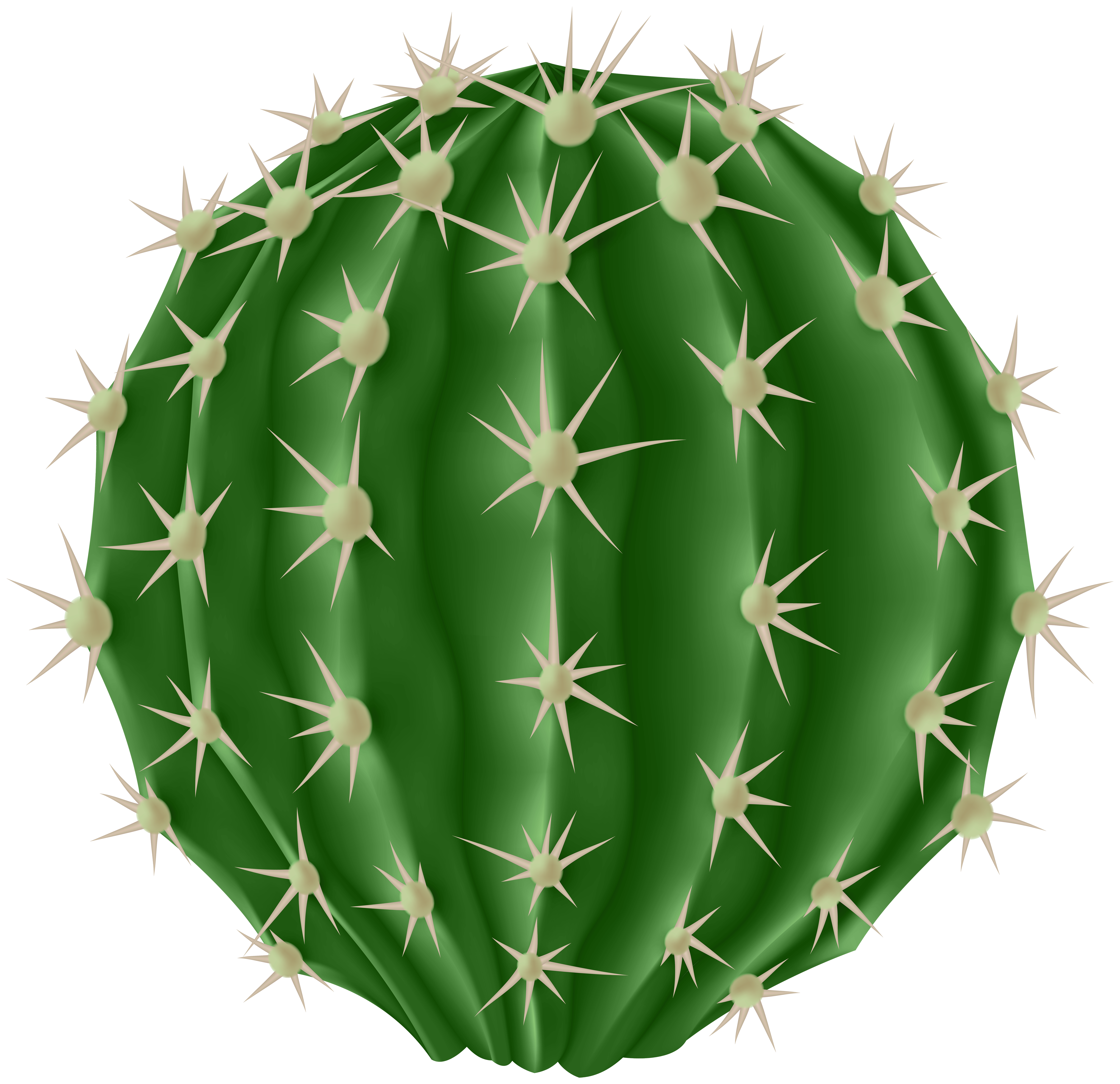 Round Cactus Png Clipart Gallery Yopriceville High Quality Images And Transparent Png Free Clipart