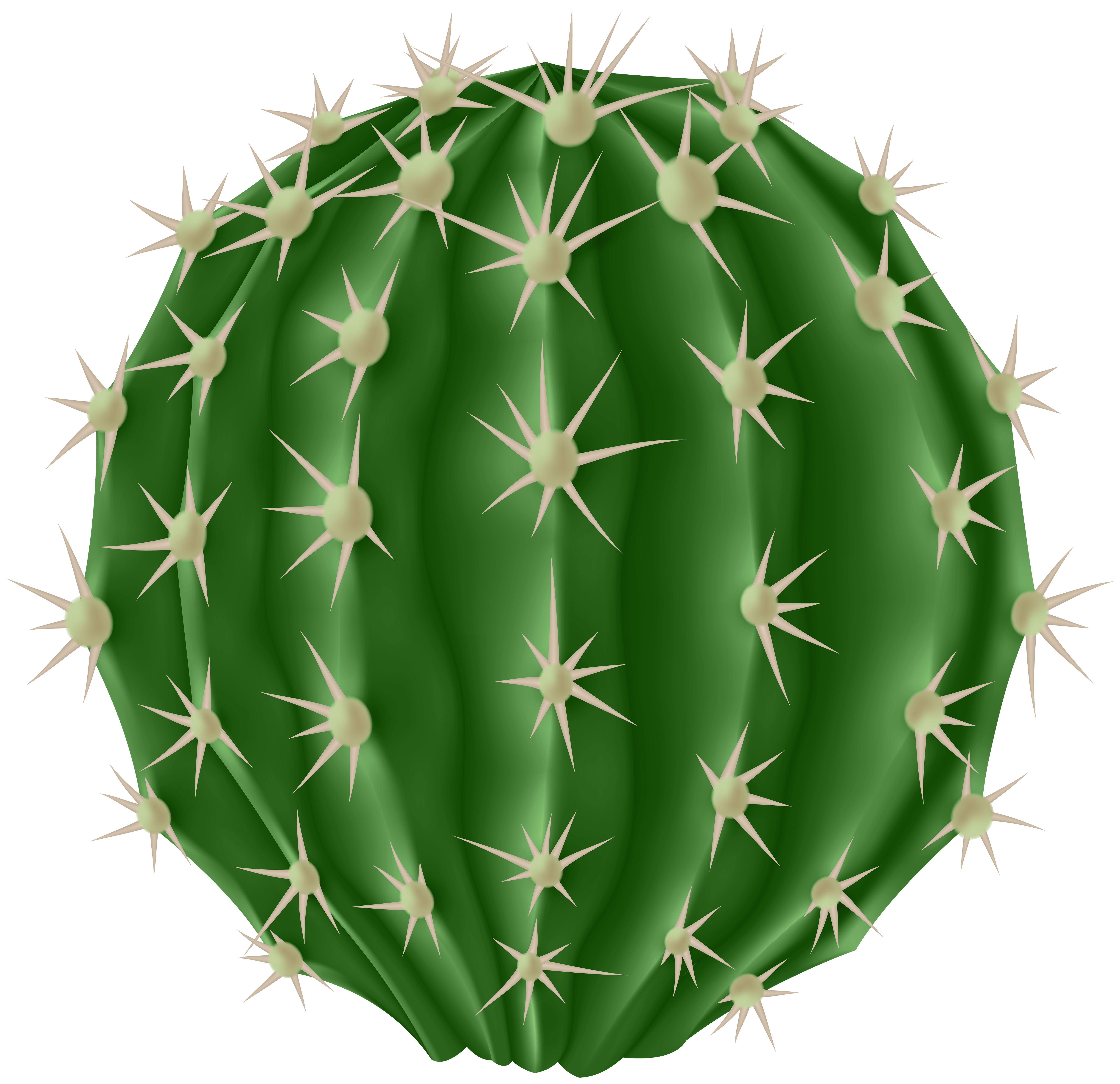 Rounded Cactus PNG, Vector, PSD, and Clipart With Transparent