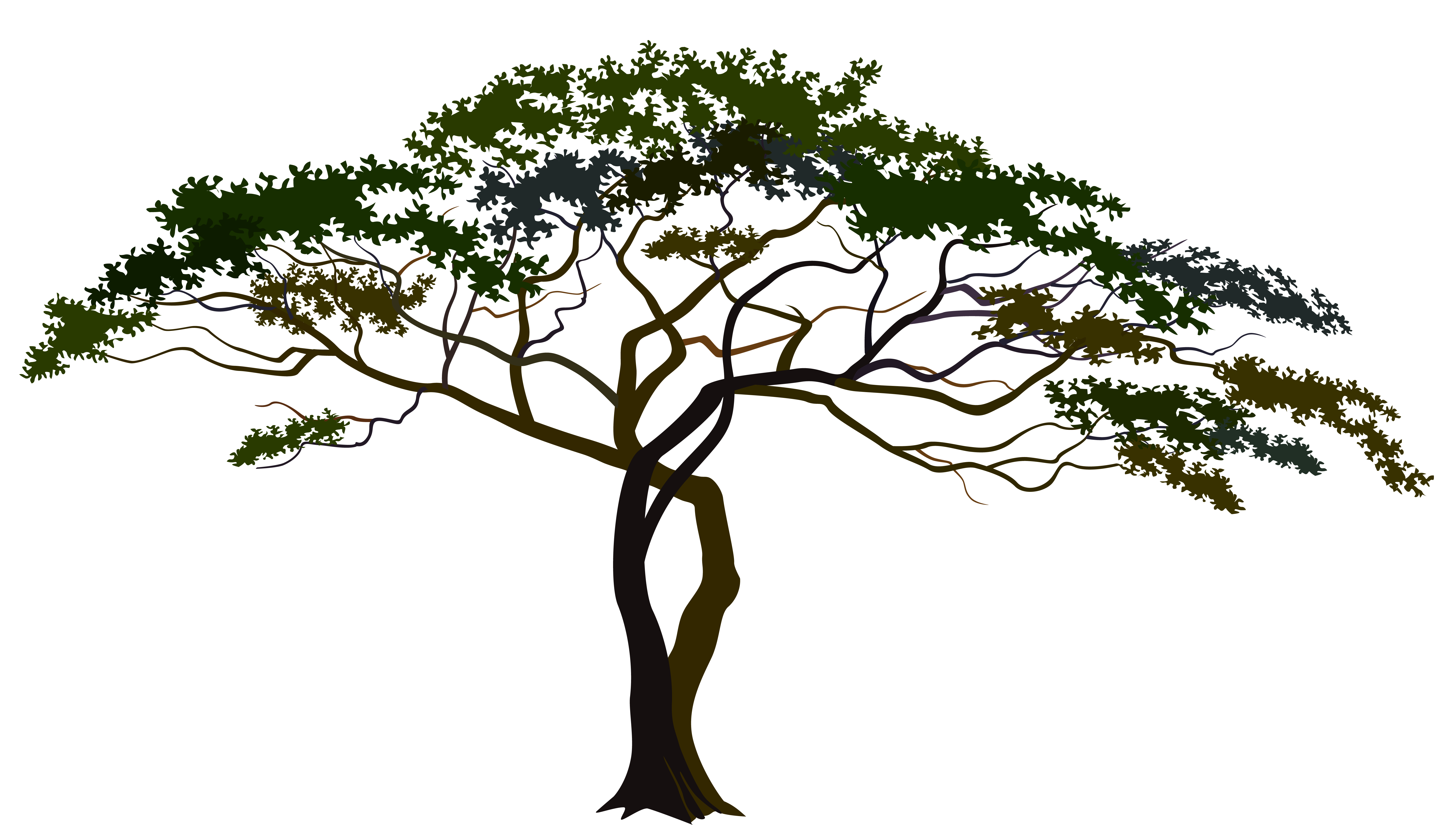 Savannah Tree PNG Clipart Image | Gallery Yopriceville - High-Quality