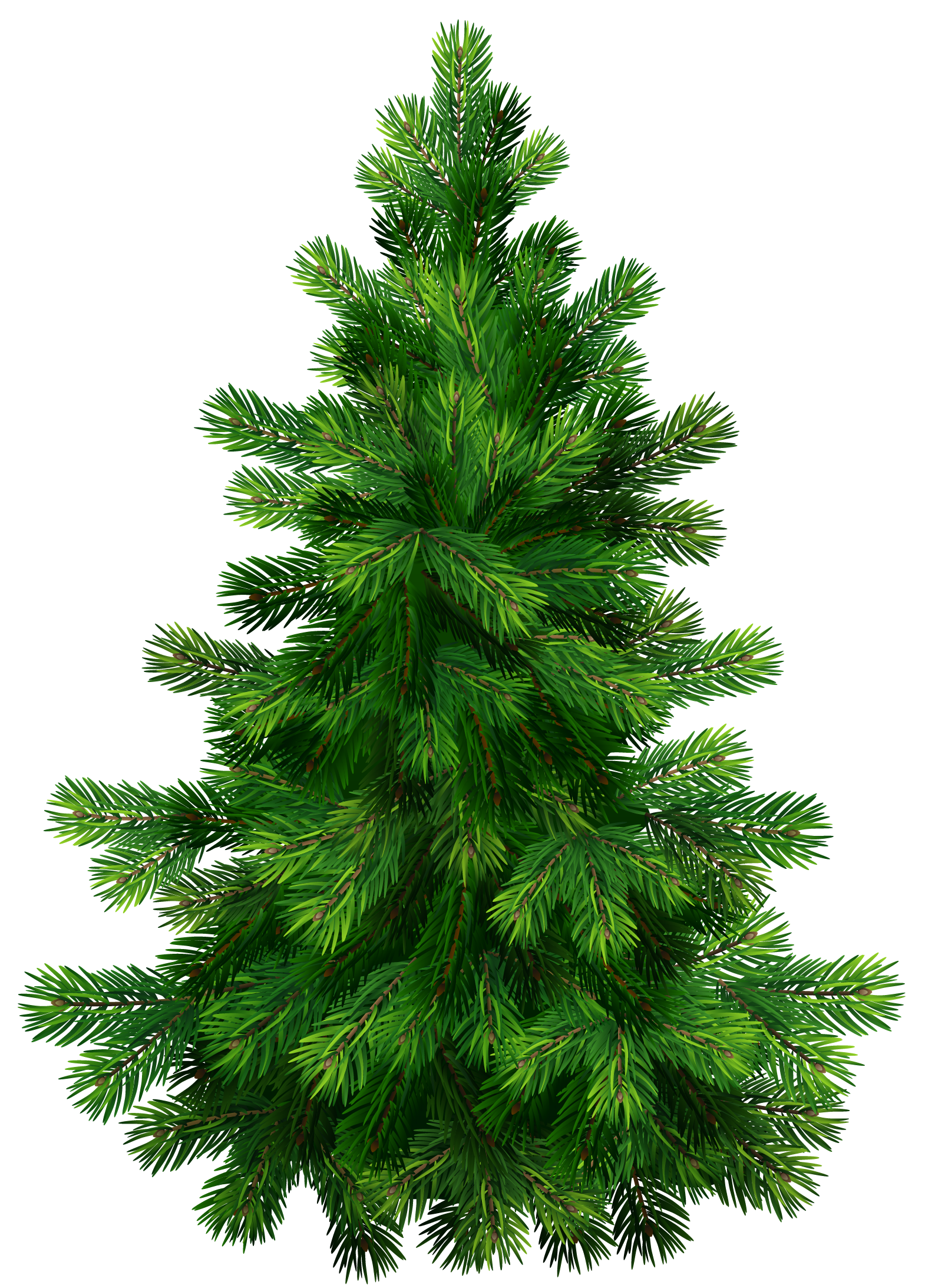 Four green pine trees illustration, Eastern white pine Tree , Cartoon Pine  Tree transparent background PNG clipart