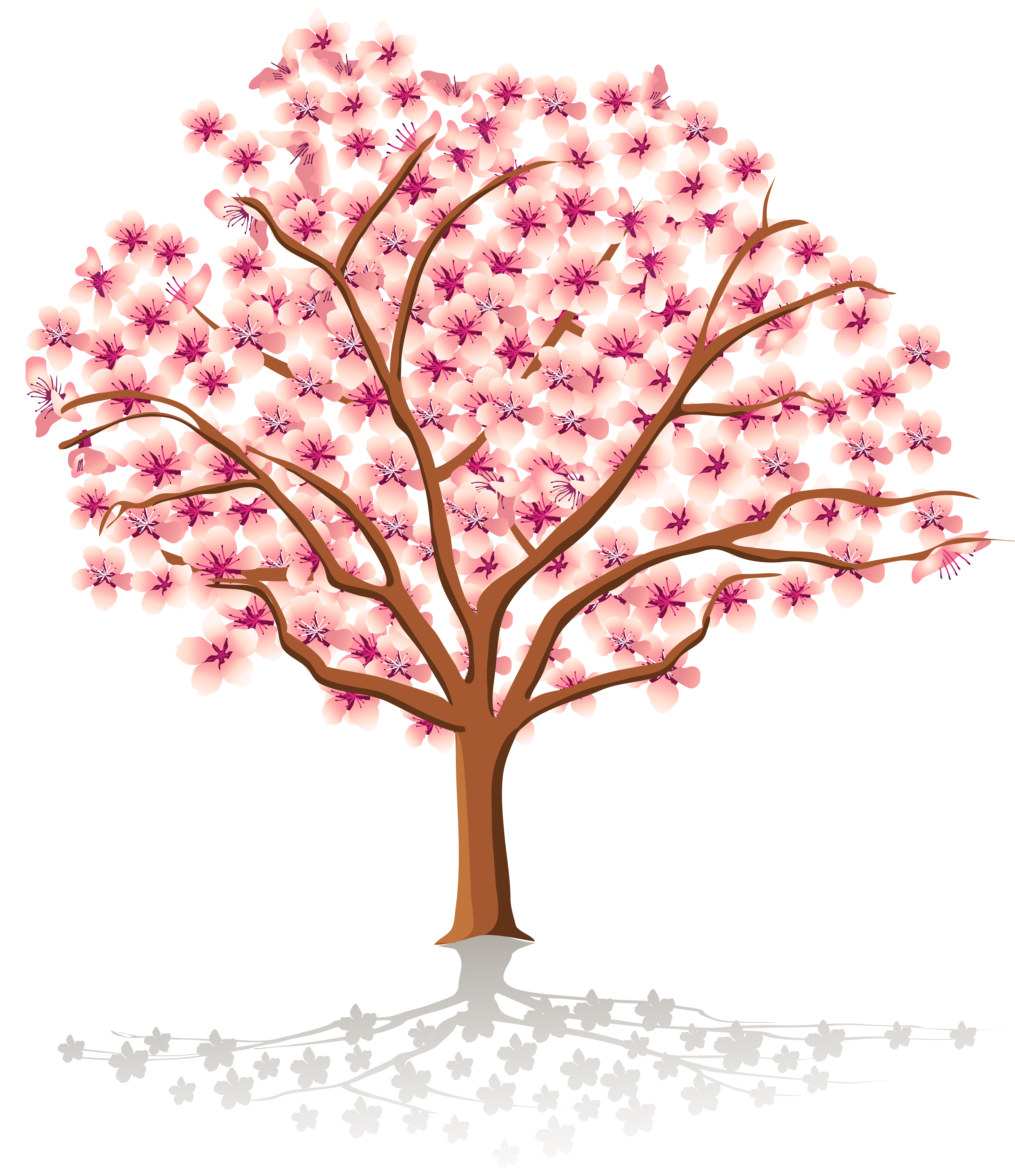 transparent spring tree png