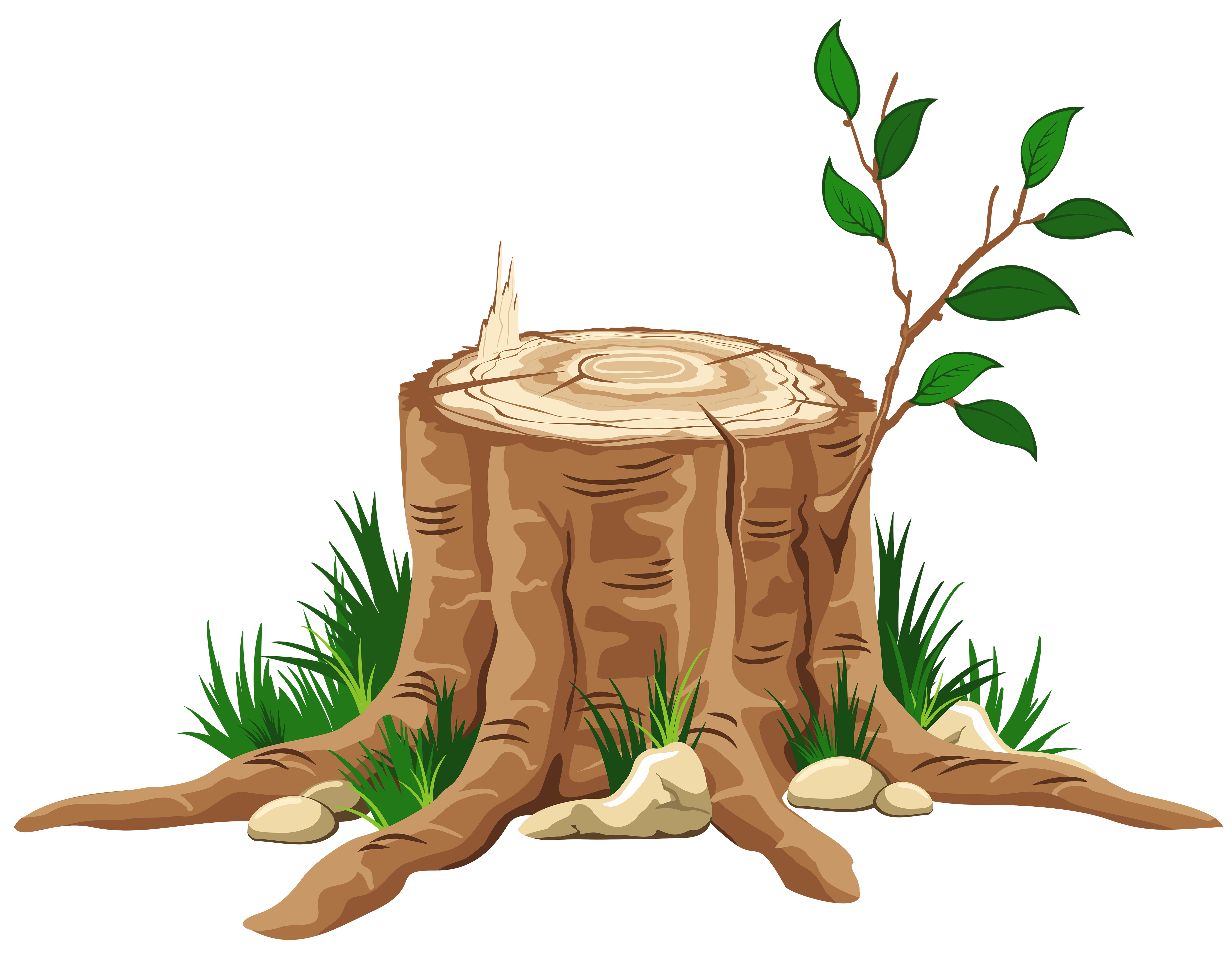 tree trunk png