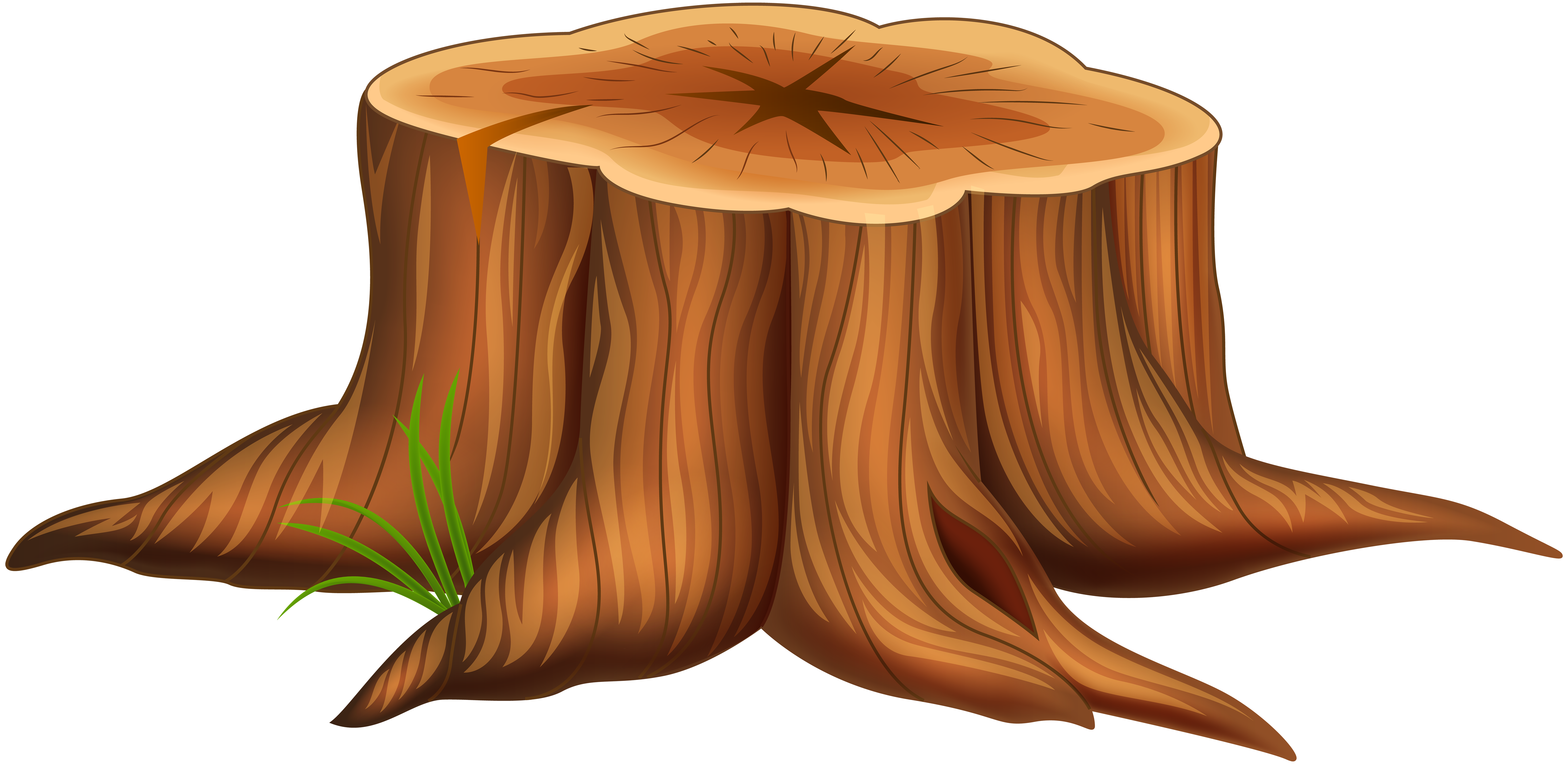 Clip Art Of Tree Trunk | PNG-clipart