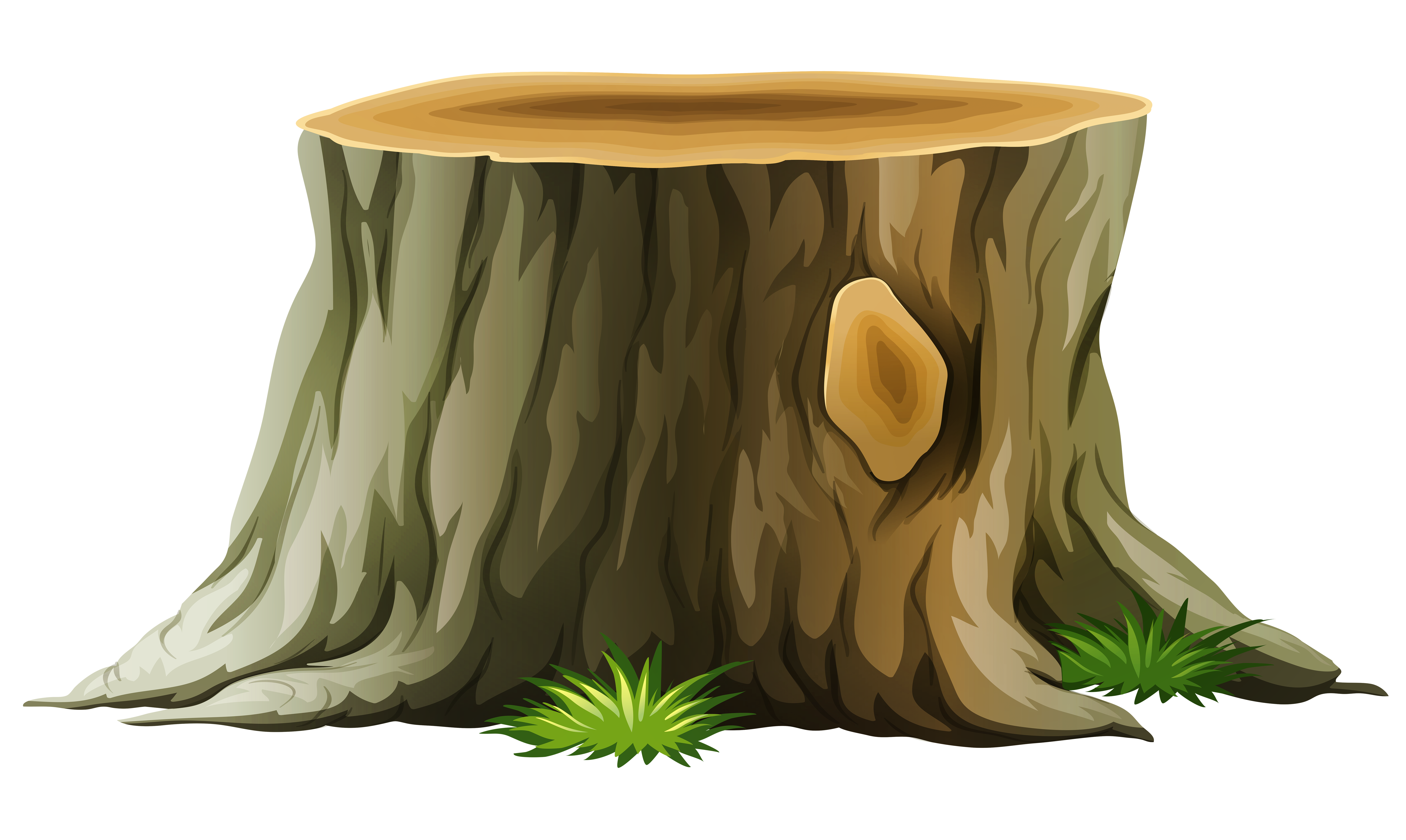cut tree trunk png
