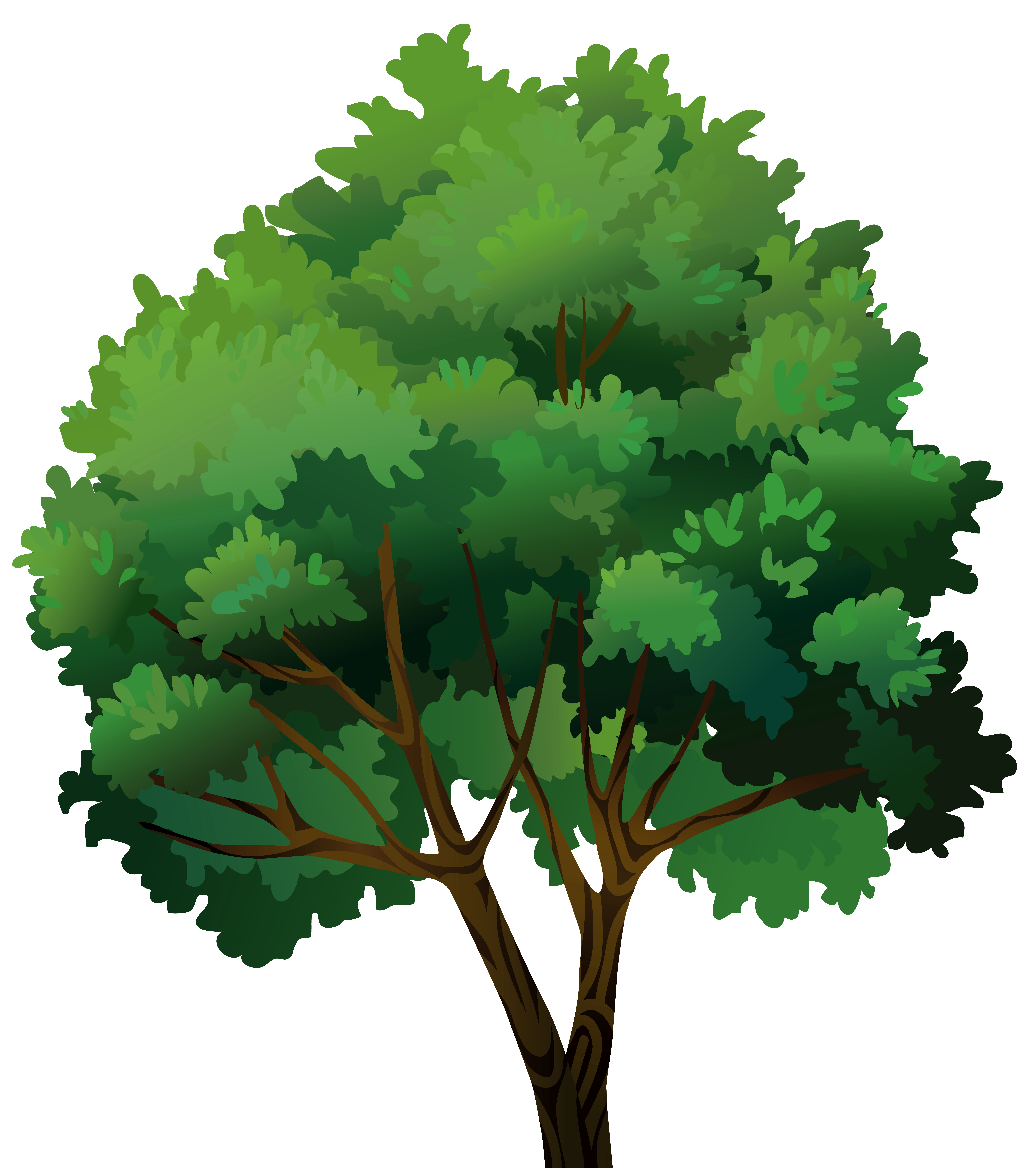 Tree Transparent PNG Clip Art Image | Gallery Yopriceville ...