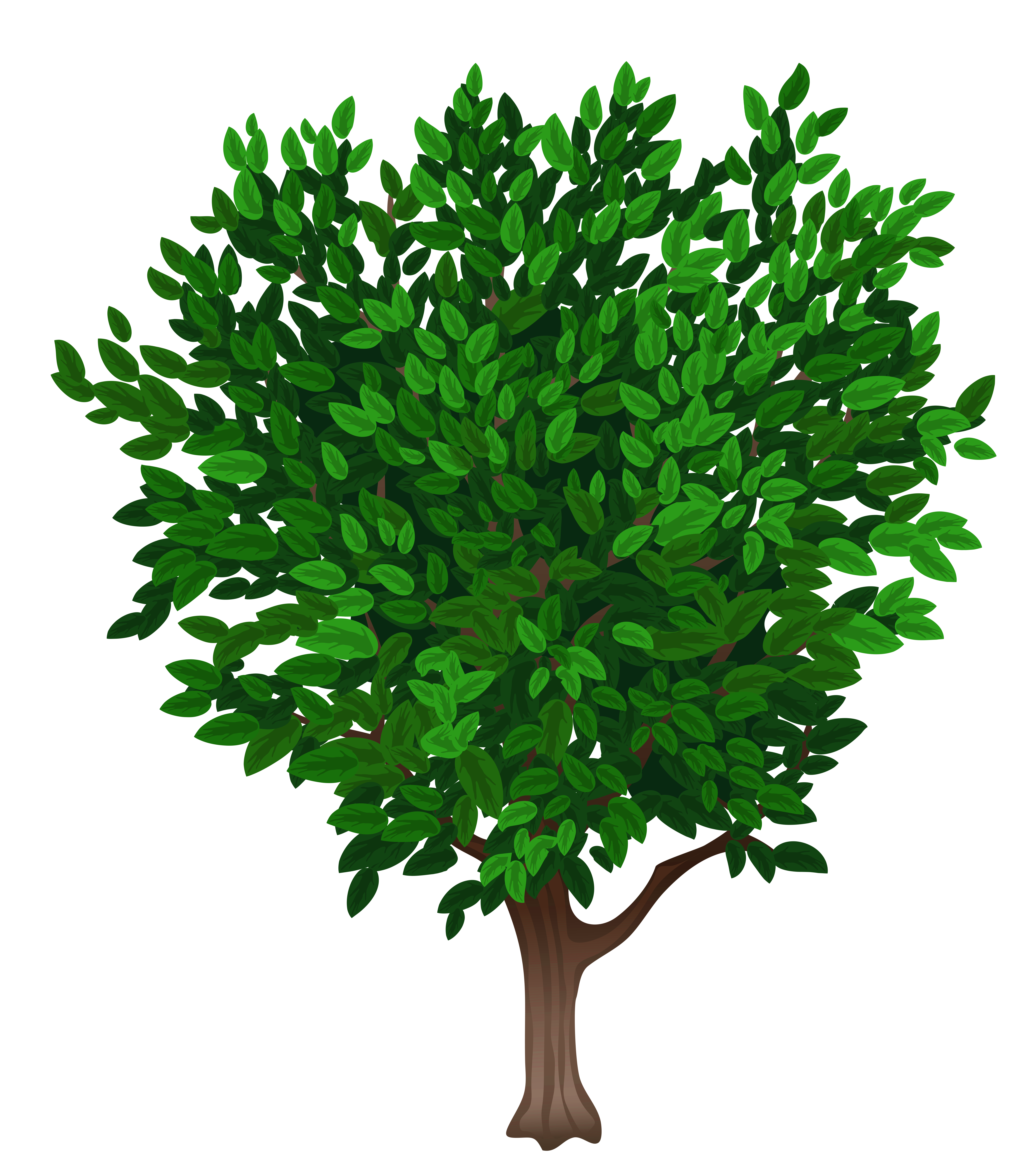 Tree Transparent PNG Clipart Picture | Gallery ...