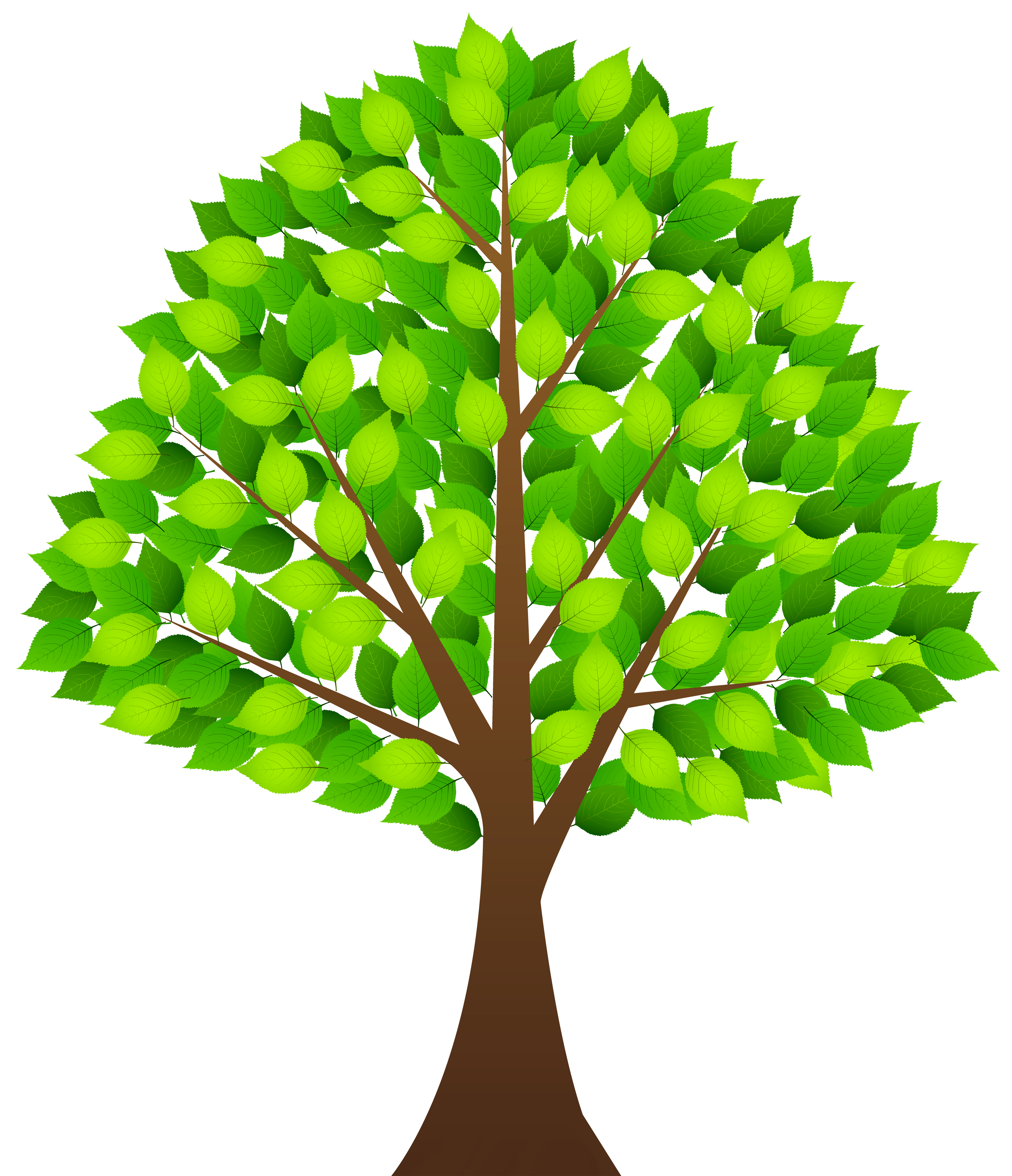 Tree with Green Leaves Transparent PNG Clip Art Image​ | Gallery  Yopriceville - High-Quality Free Images and Transparent PNG Clipart