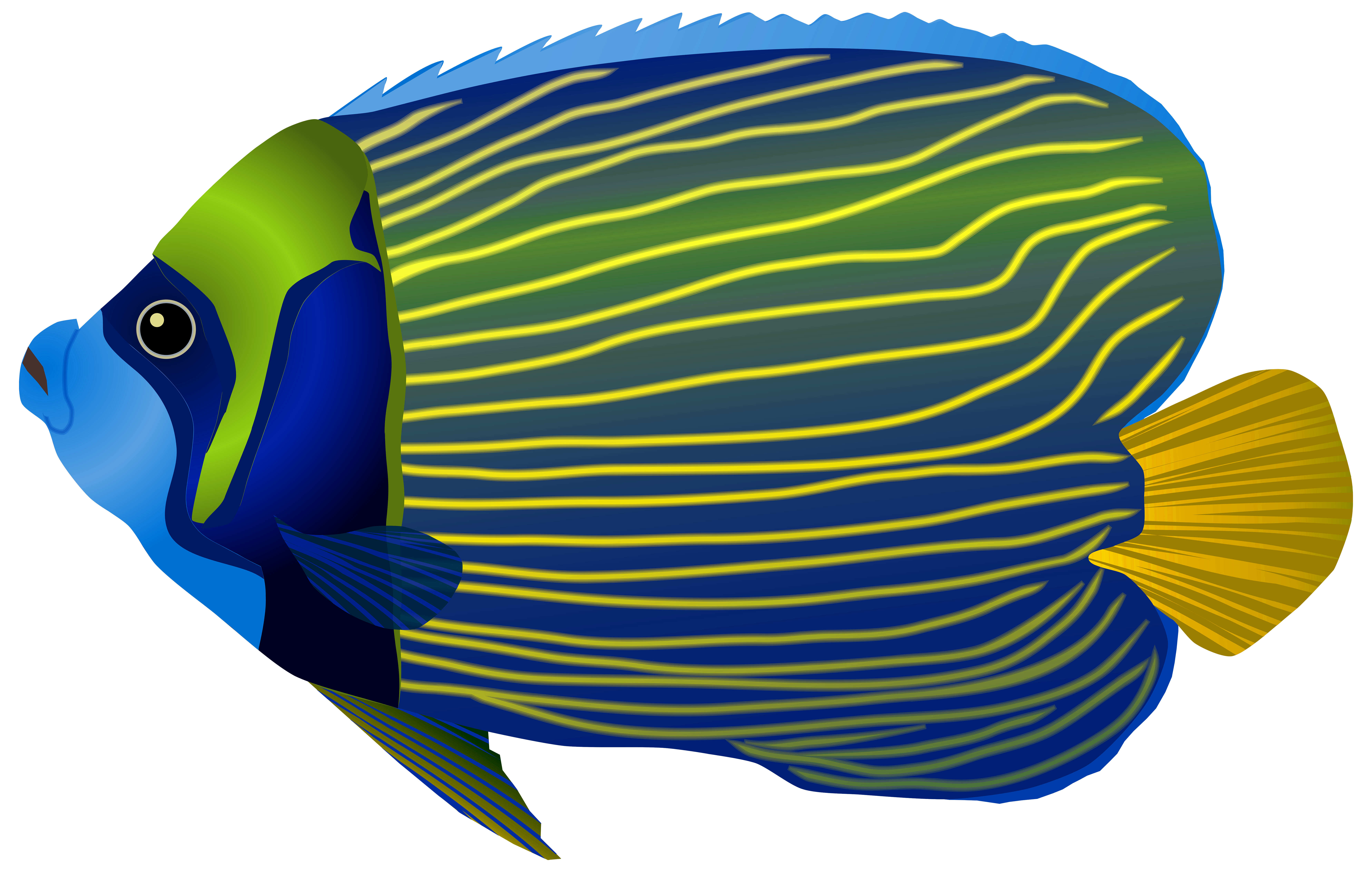 Blue Fish PNG Clip Art Image​  Gallery Yopriceville - High-Quality Free  Images and Transparent PNG Clipart