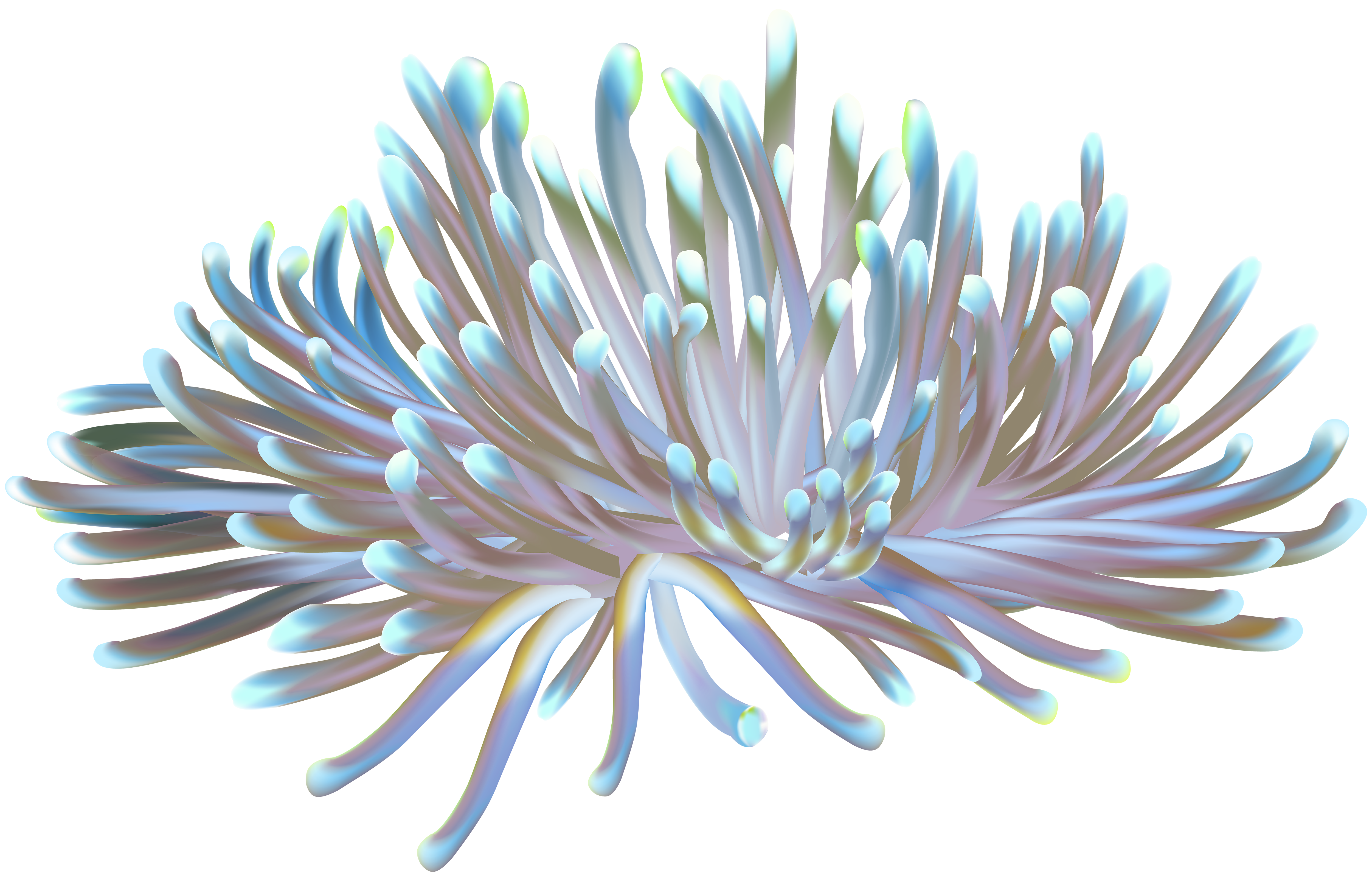 coral transparent png clip art image gallery blue christmas decor